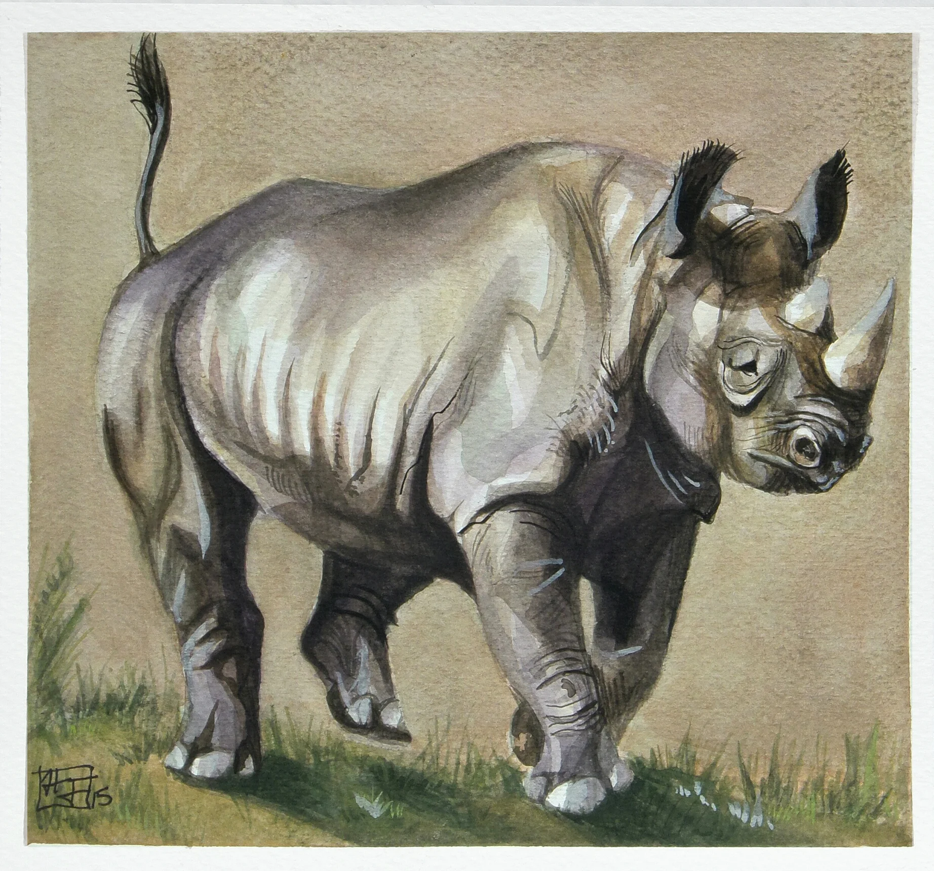 BlackRhino2.jpg
