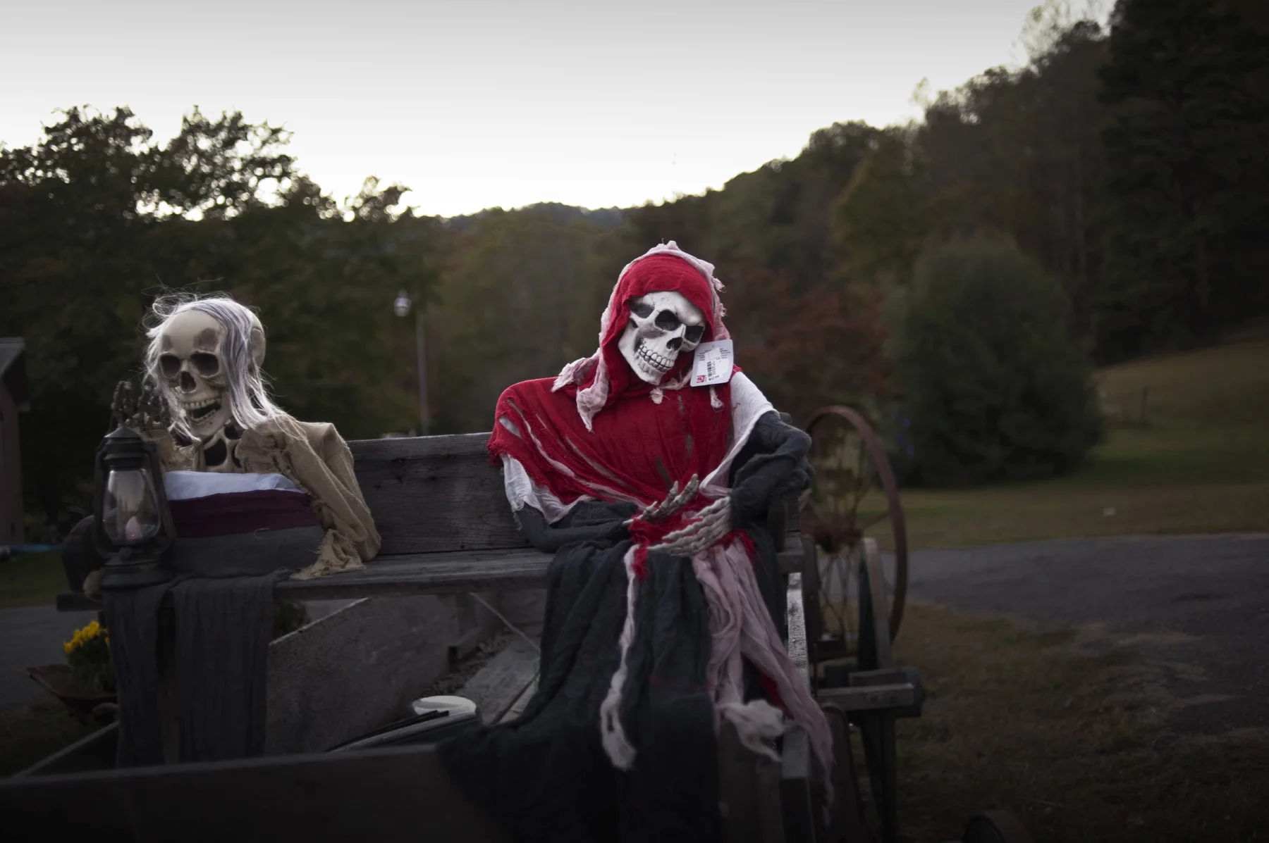  Arnett, WV (USA), September 2010 - Amish buggy dressed for halloween&nbsp;&nbsp;&nbsp;&nbsp;&nbsp;&nbsp;&nbsp;&nbsp;&nbsp;&nbsp;&nbsp;&nbsp;&nbsp;&nbsp;&nbsp;&nbsp; 
