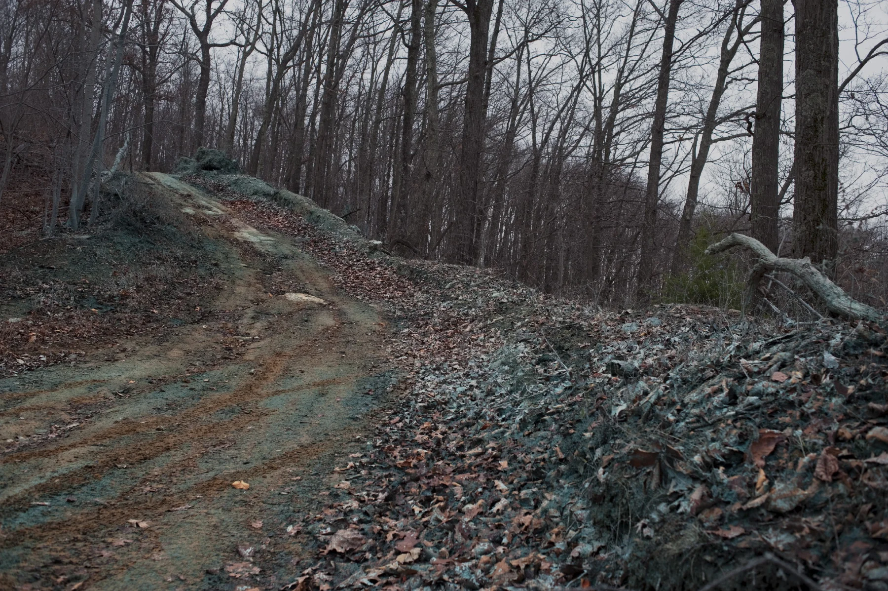  Hydroseed sprayed in a country road in the proximity of a large strip mine by the border between West Virginia and Kentucky. 