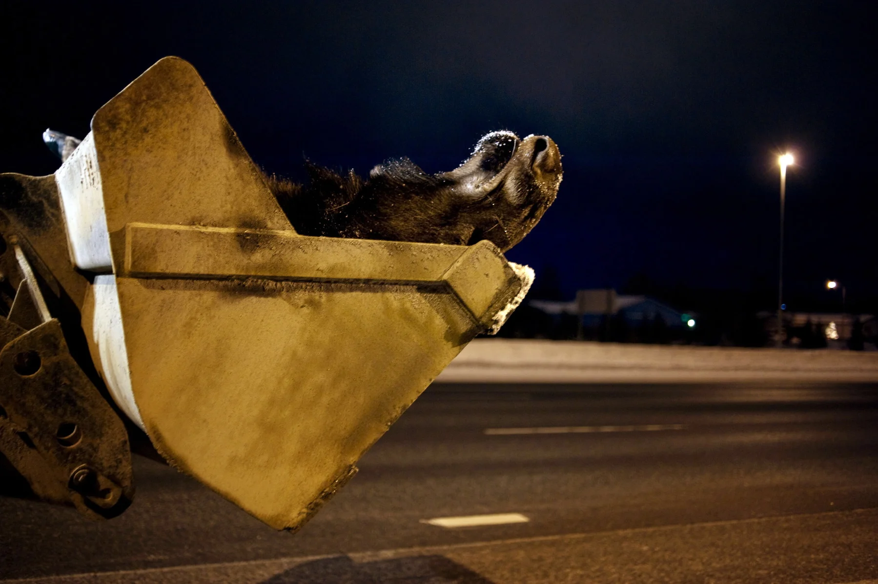  The Combat Haulers are families working together. Both individuals, groups and organizations can apply the lists. 