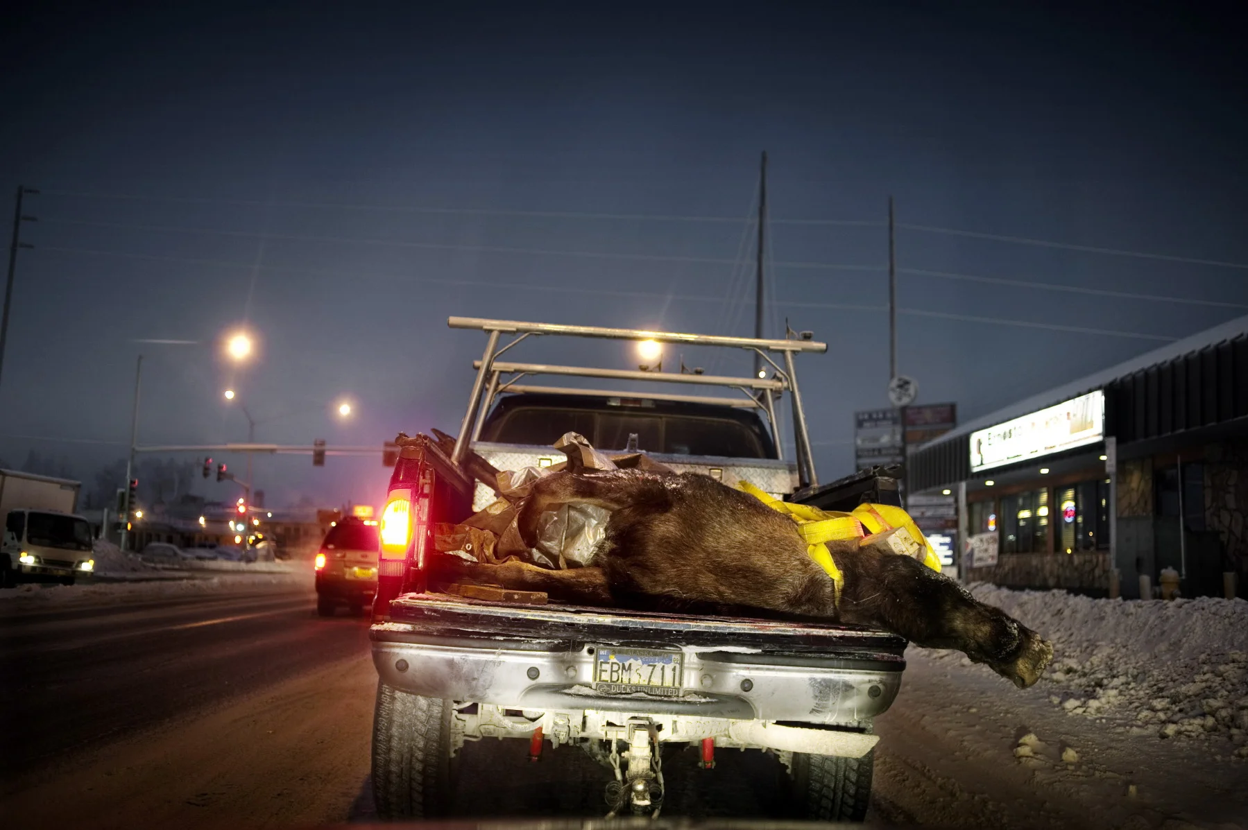  A menonite volunteer group from Virginia has collected a moose. They participate to the roadkill program as five people group, take a part of meat and devolve the rest to charity.&nbsp;&nbsp;&nbsp;&nbsp;&nbsp;&nbsp;&nbsp; 