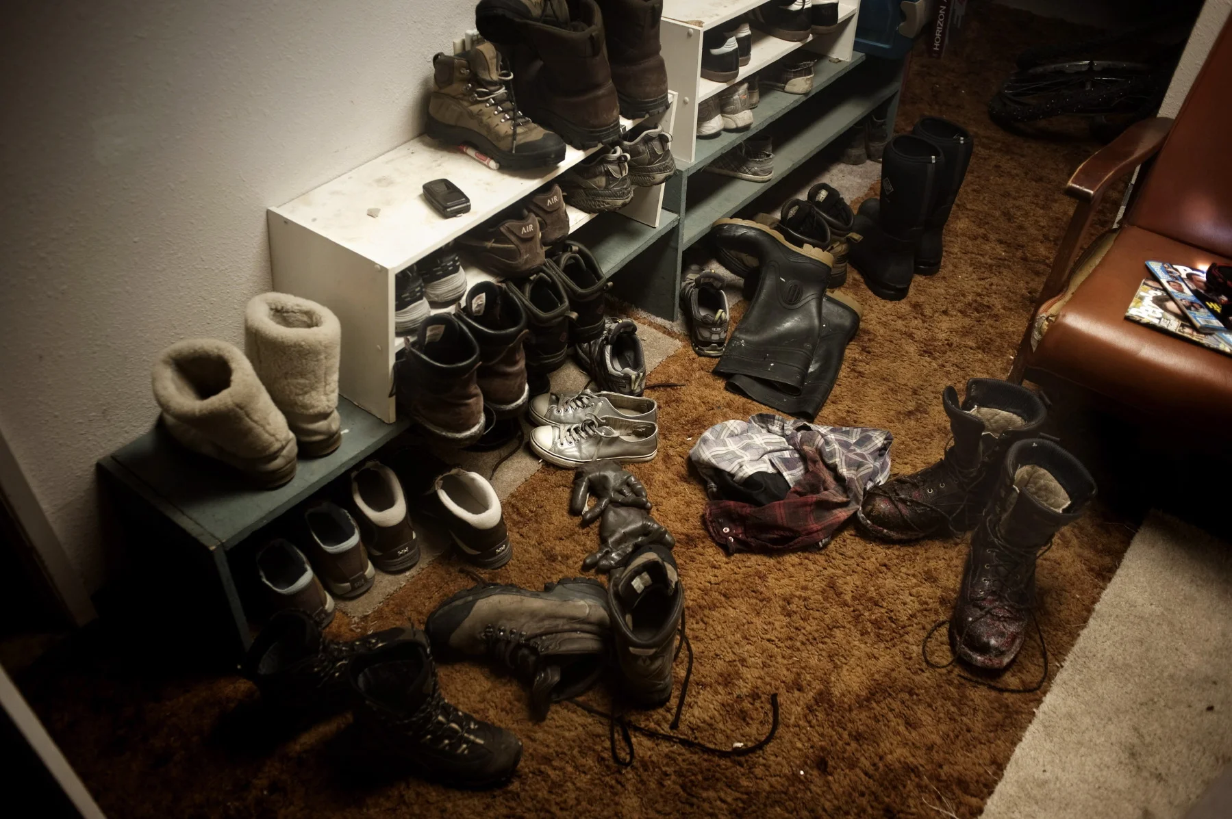  After a moose night. 