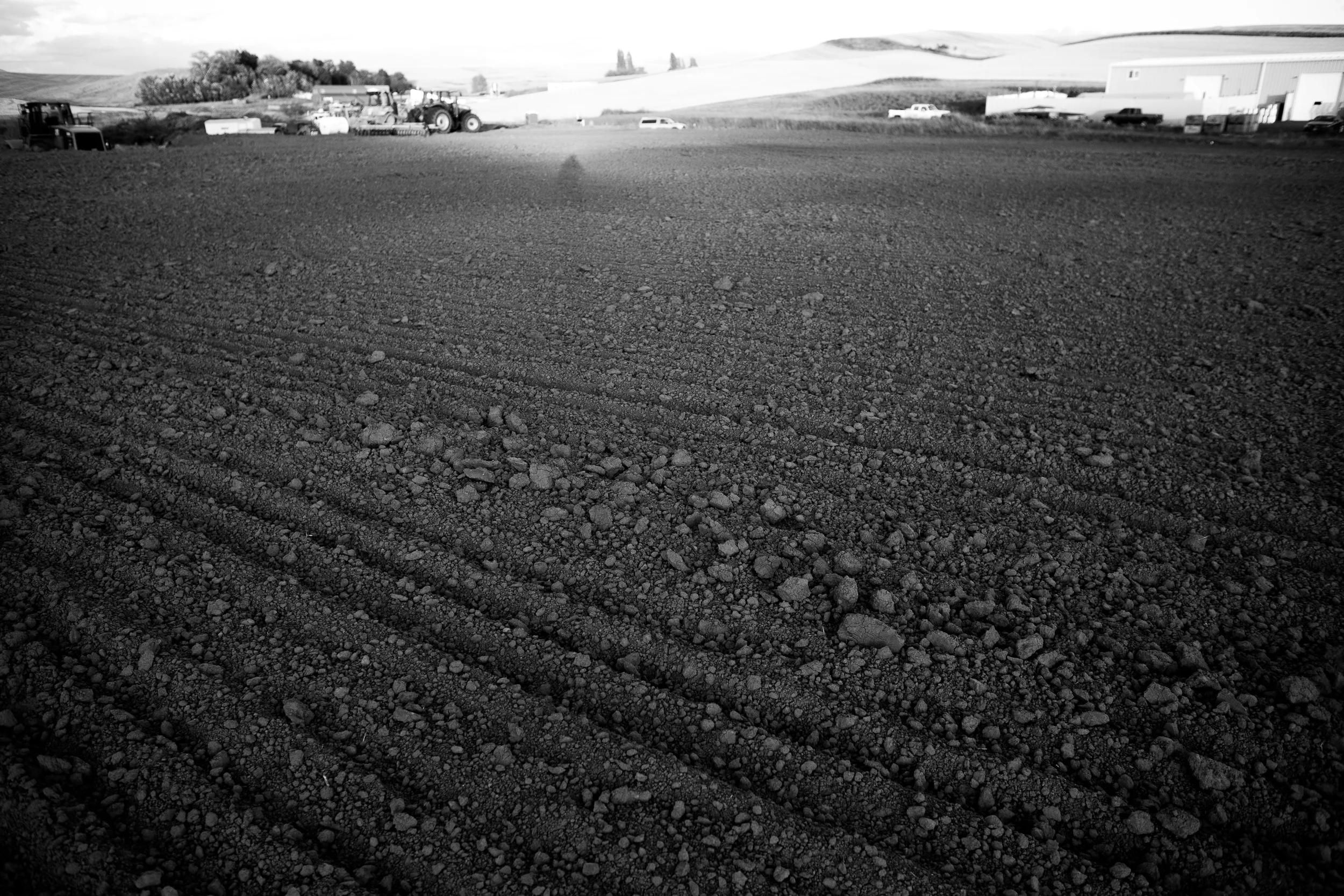 i believe they dug down 45 feet through a hill in order to make this whole six acres flat. normally they'd expect to hit wet earth anywhere from 3-15 feet below ground level. these guys found a rare patch of mud about forty feet down. so at the end of august and beginning of september they spent a number of days tilling the ground and waiting for sun to dry out the land.