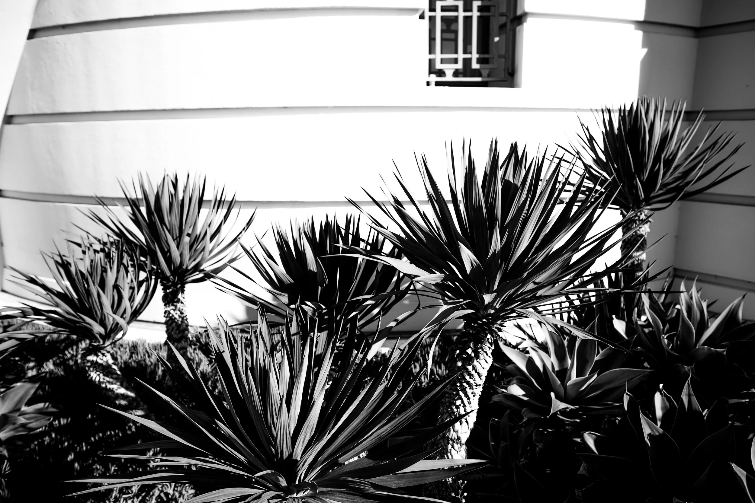 la things-17.jpg