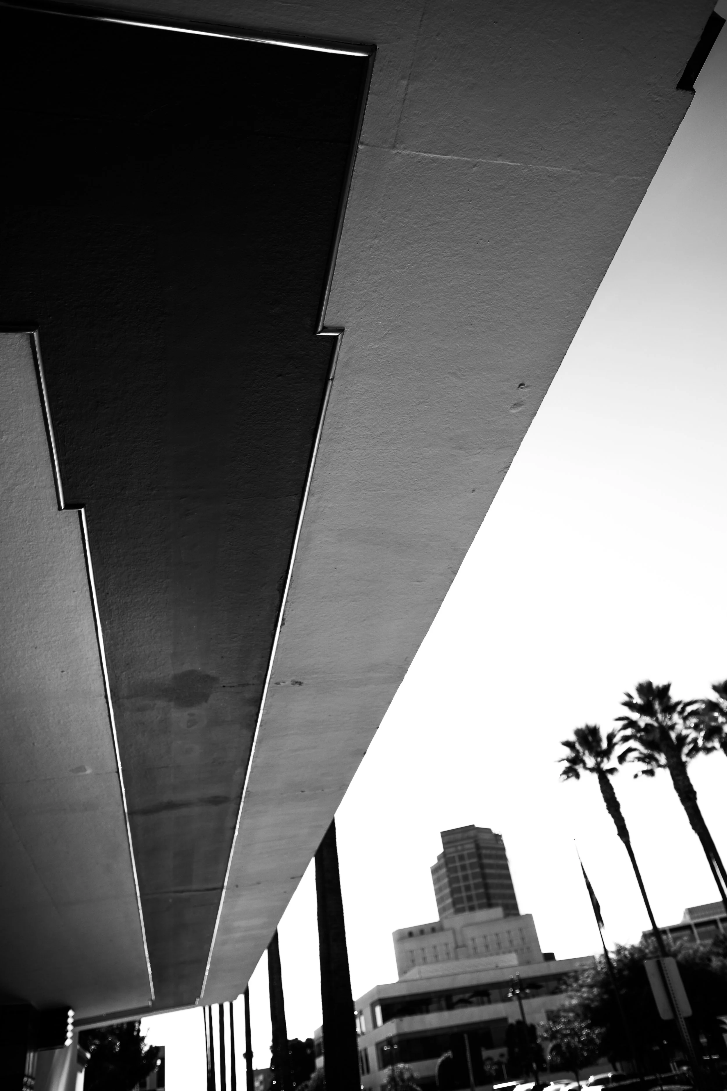 la things-3.jpg