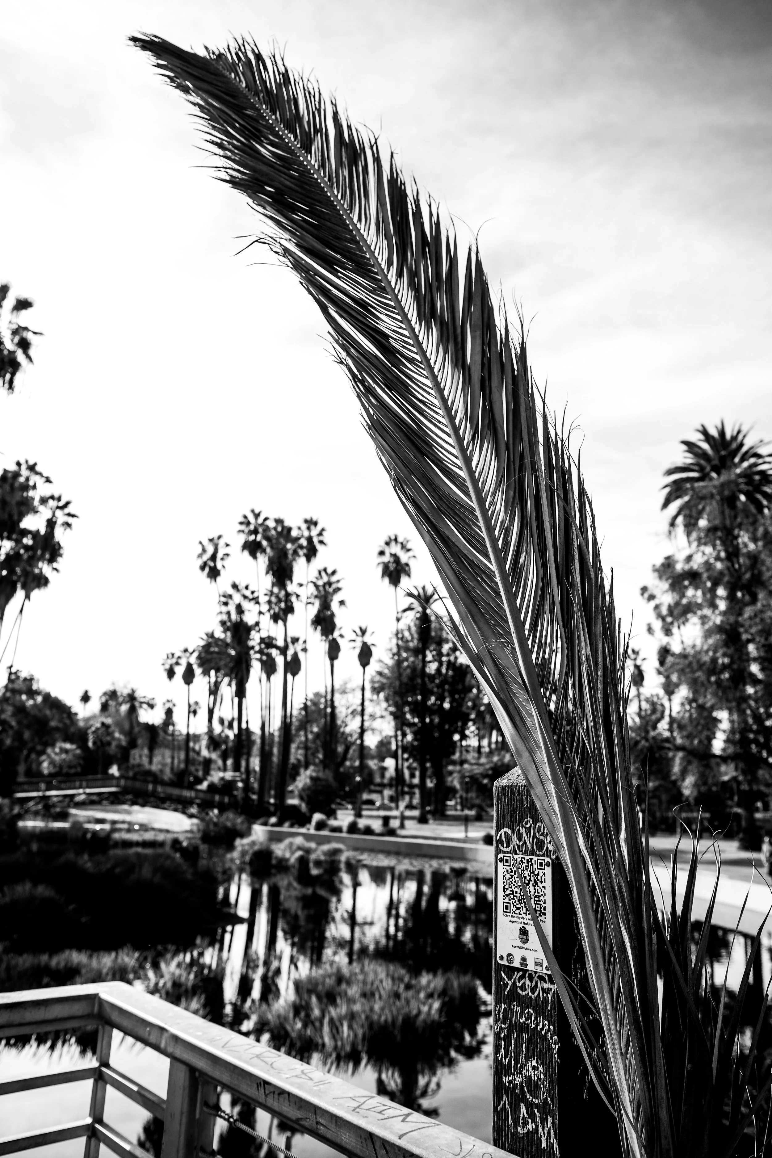 la things-9.jpg