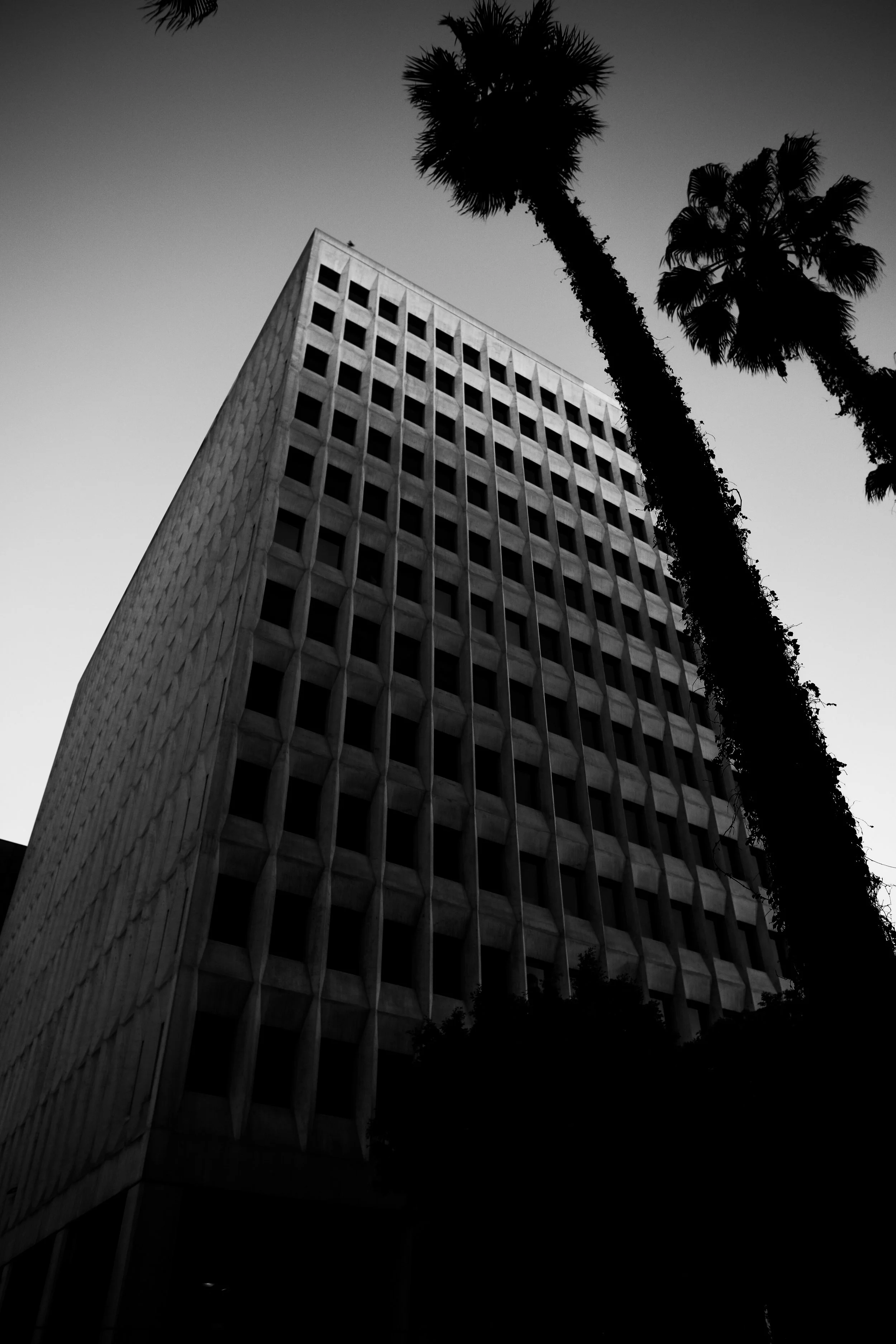 la things-15.jpg