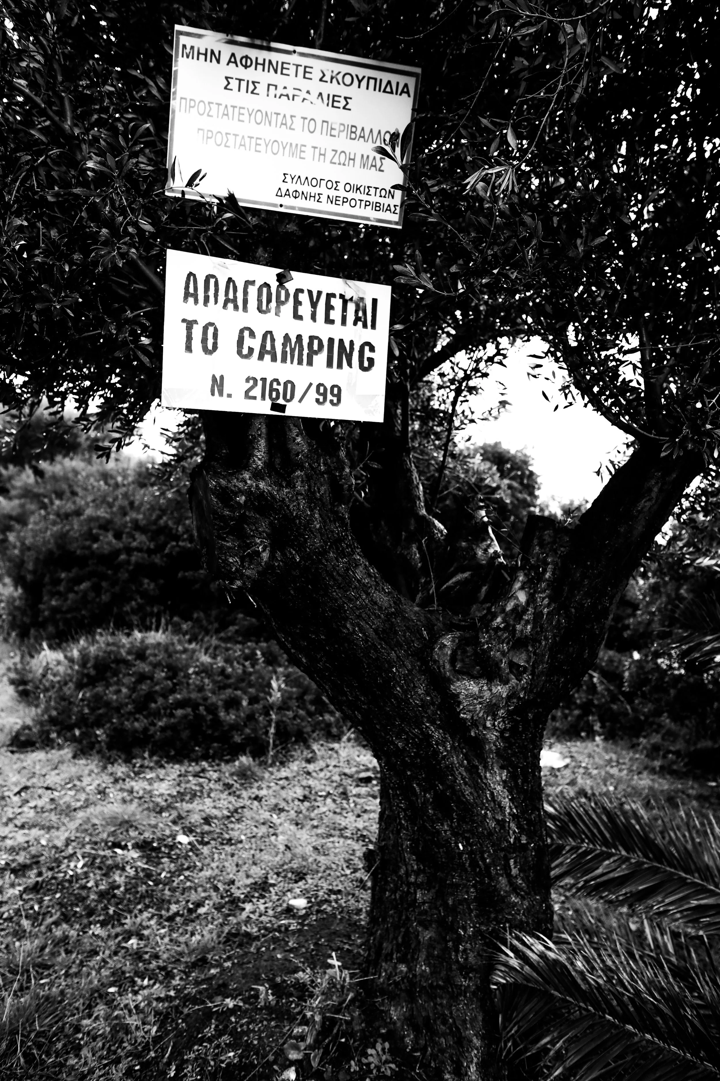 GREECE-37.jpg