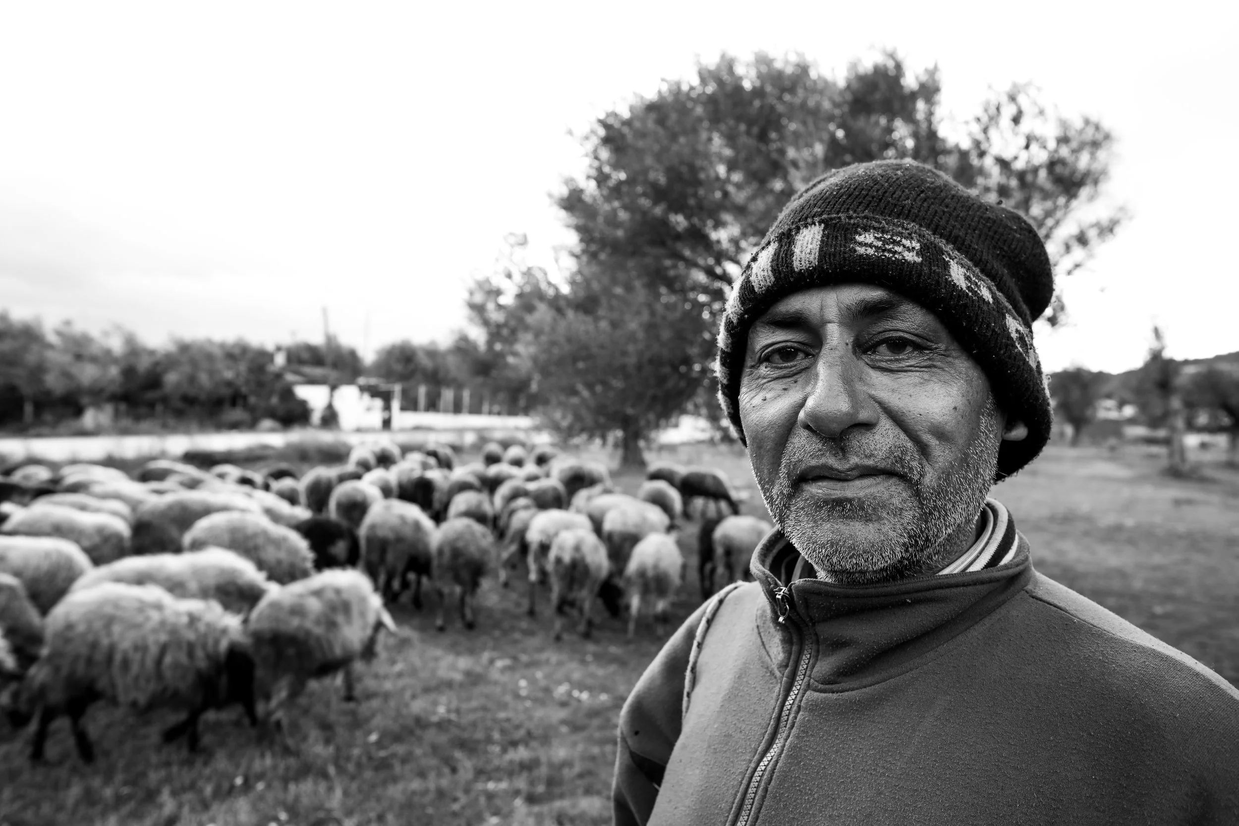 GREECE-10.jpg