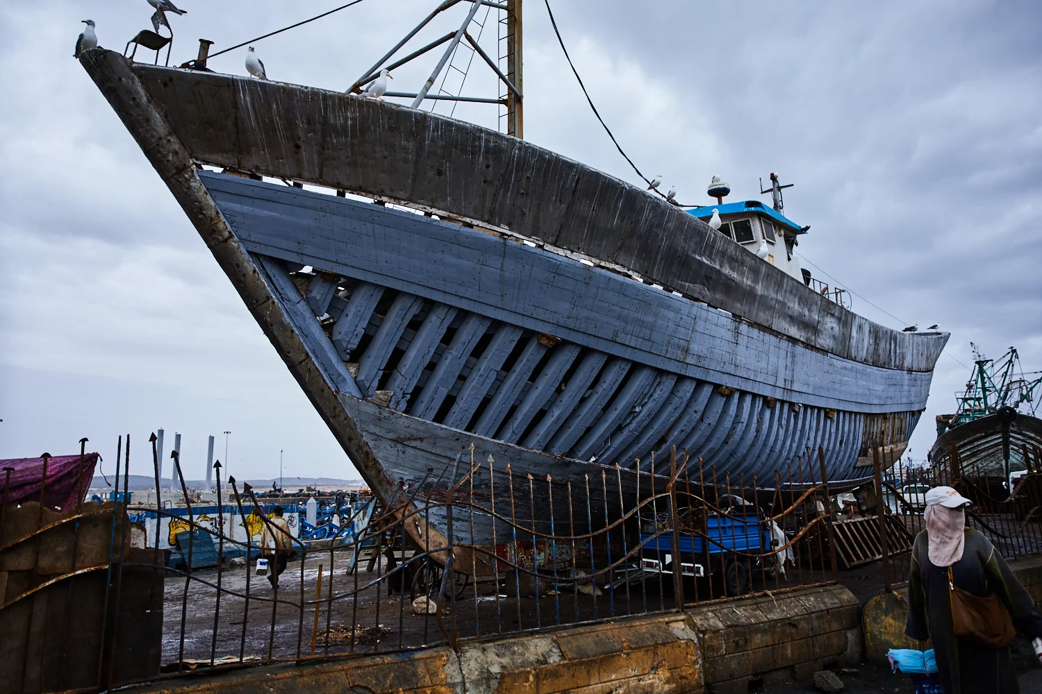 135A7318.jpg