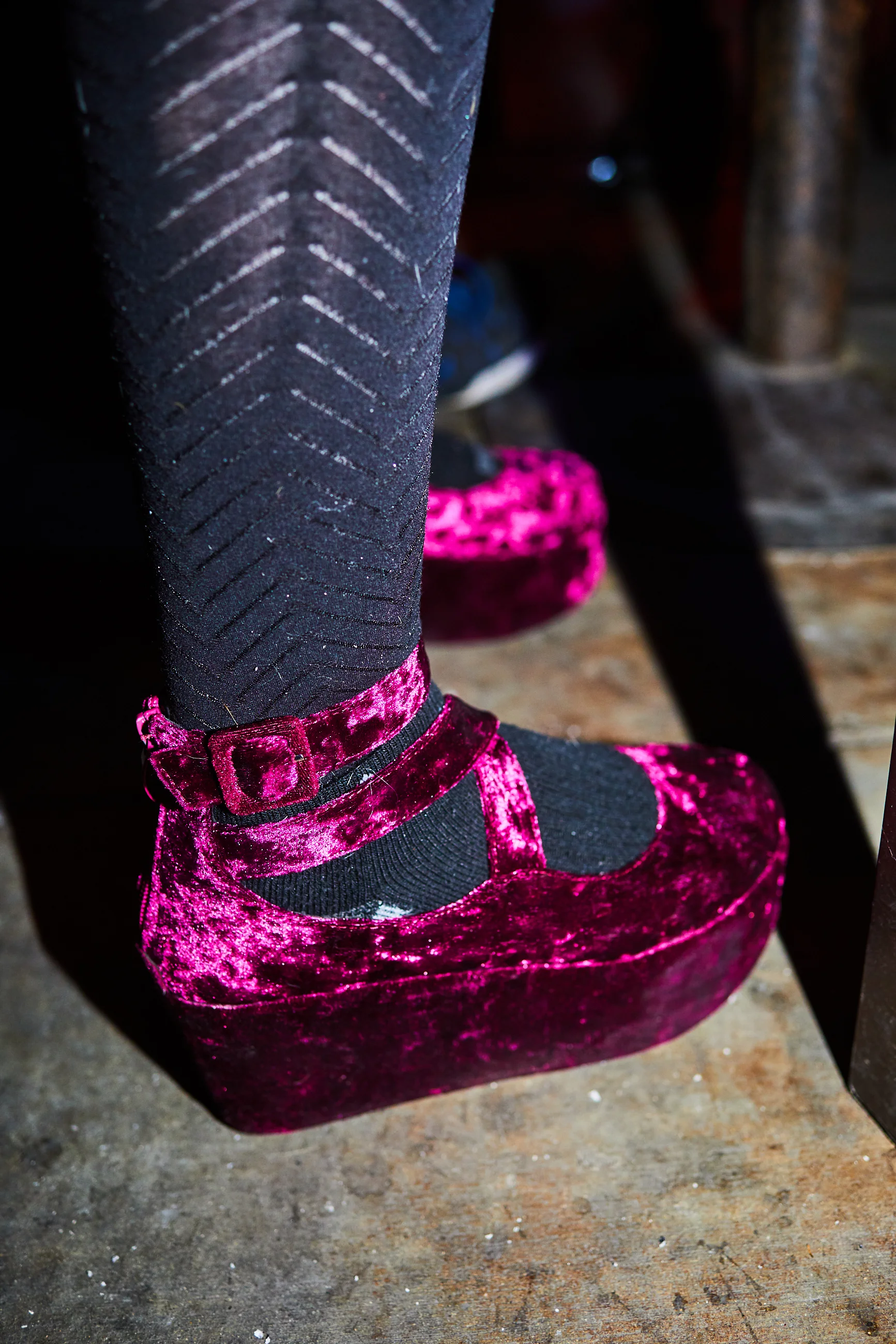 treefort portraits 8.jpg