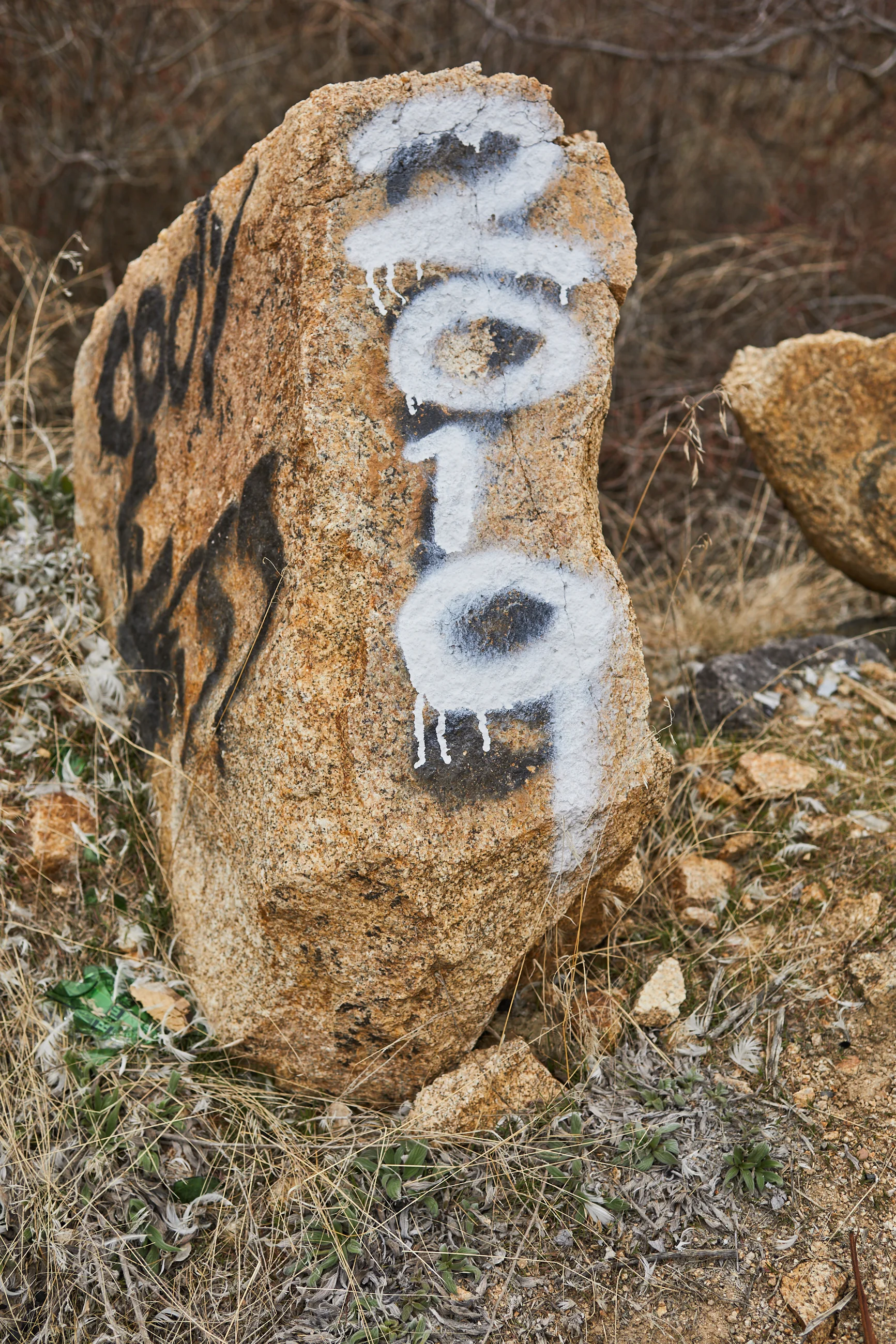 treefort portraits 26.jpg