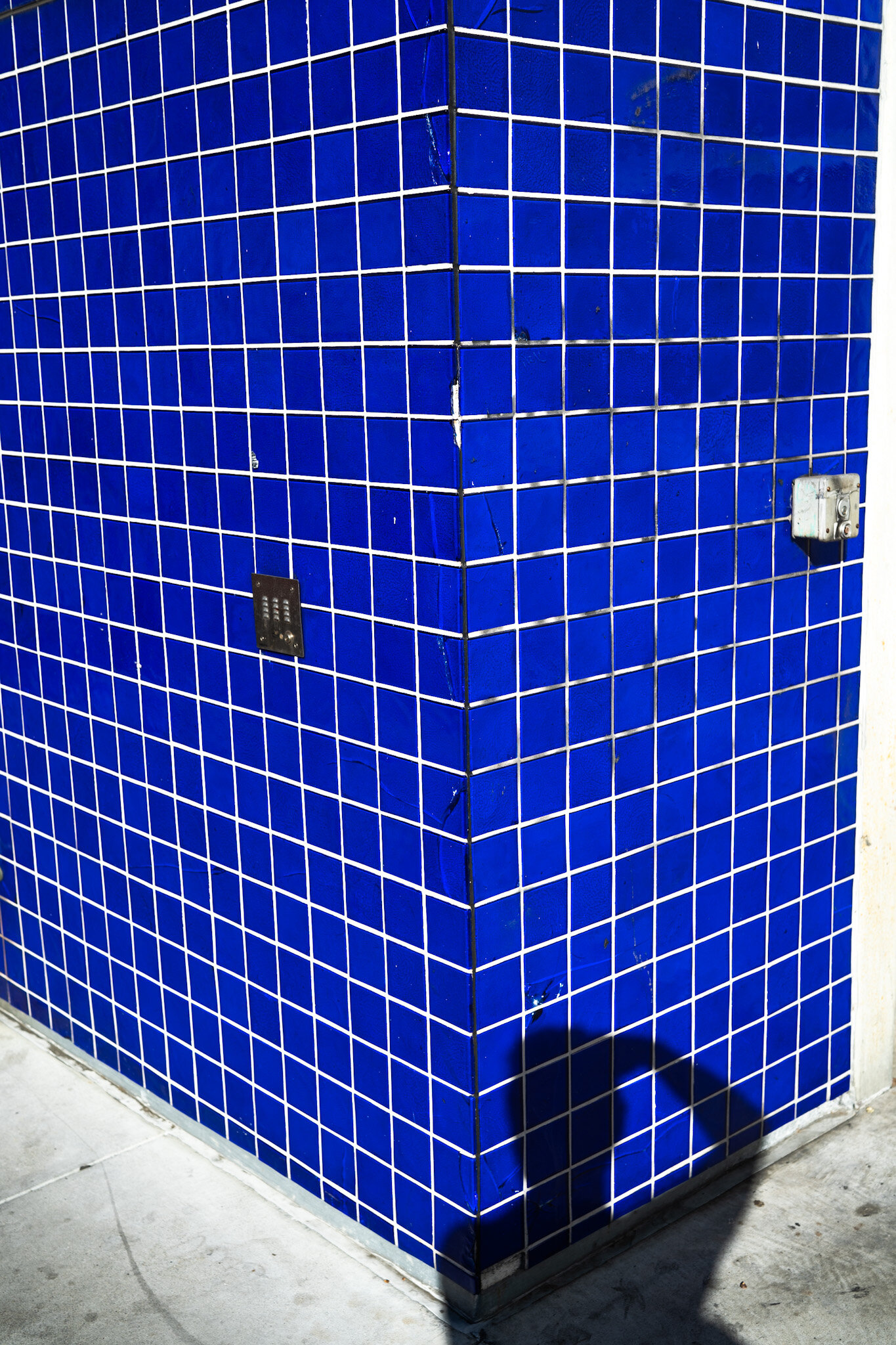 Blue Tile