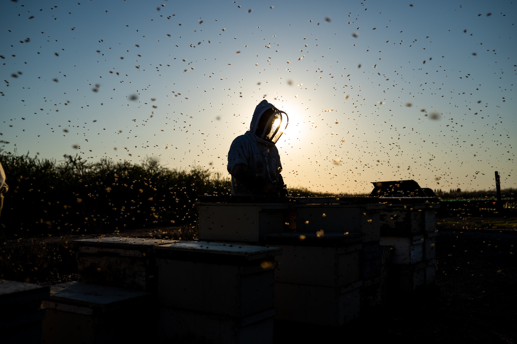 the day’s last yard