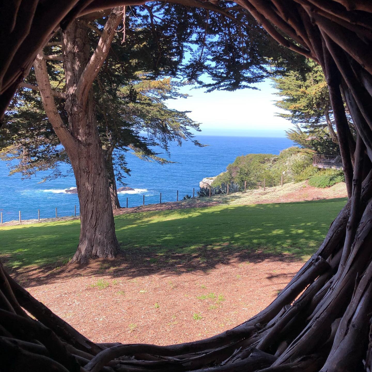 &ldquo;I went down in the afternoon
to the sea
which held me, until I grew easy.

About tomorrow, who knows anything
Except that it will be time,again,
for the deepening and quieting of the spirit.&rdquo;

Mary Oliver - Swimming, One Day in August