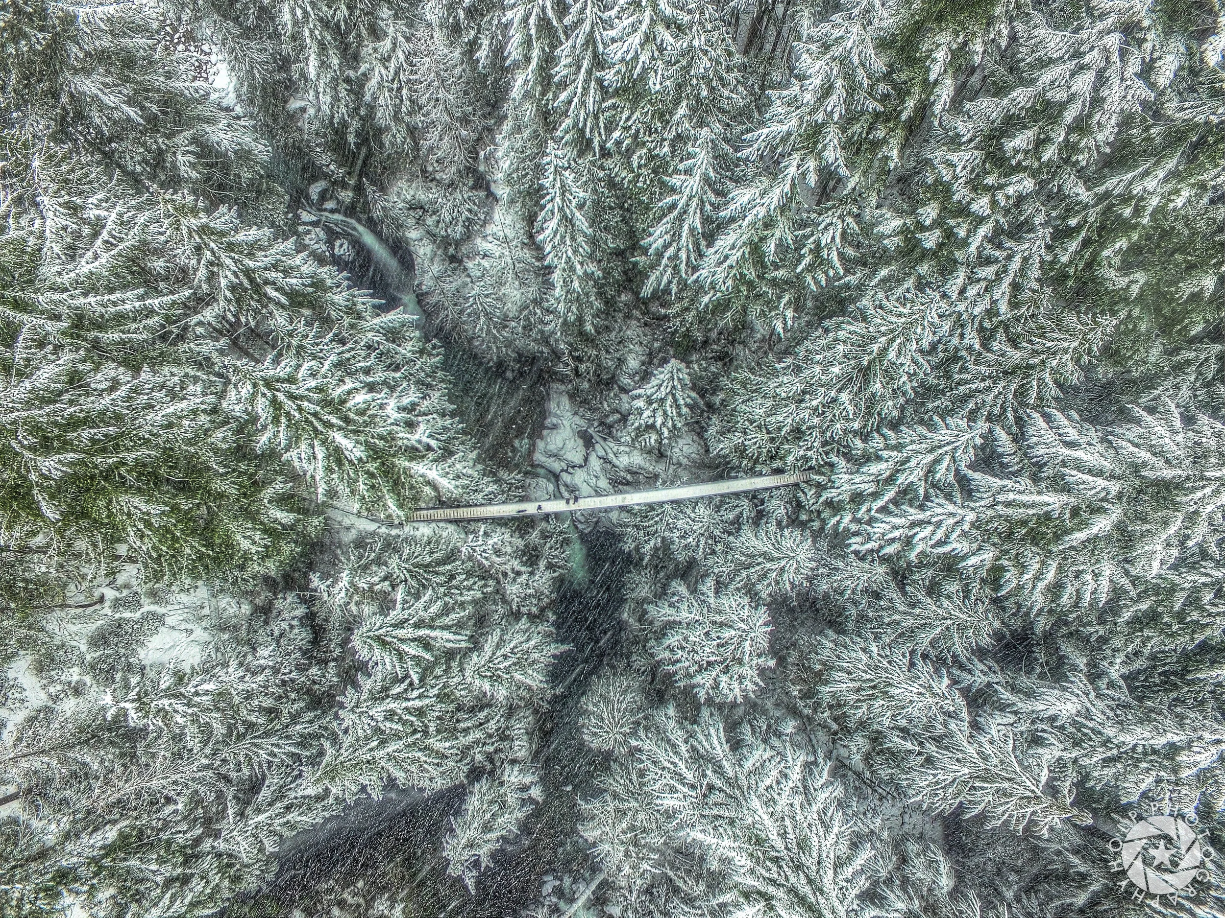 Lynn Canyon Suspension Bridge - Aerial Photography