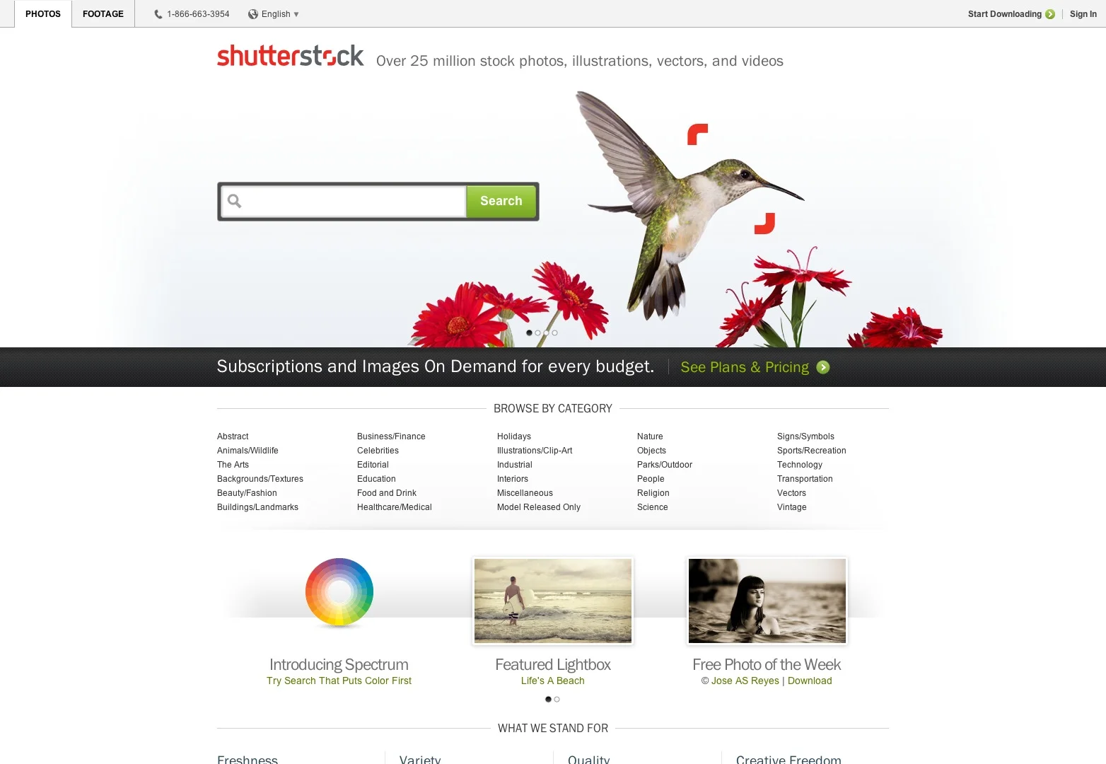 Stock-Photos-Royalty-Free-Images-Shutterstock.jpg