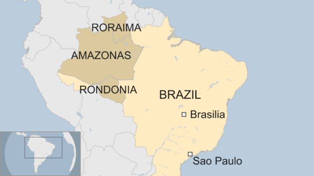 Brazilian States affected by wildfires in the Amazon Rainforest