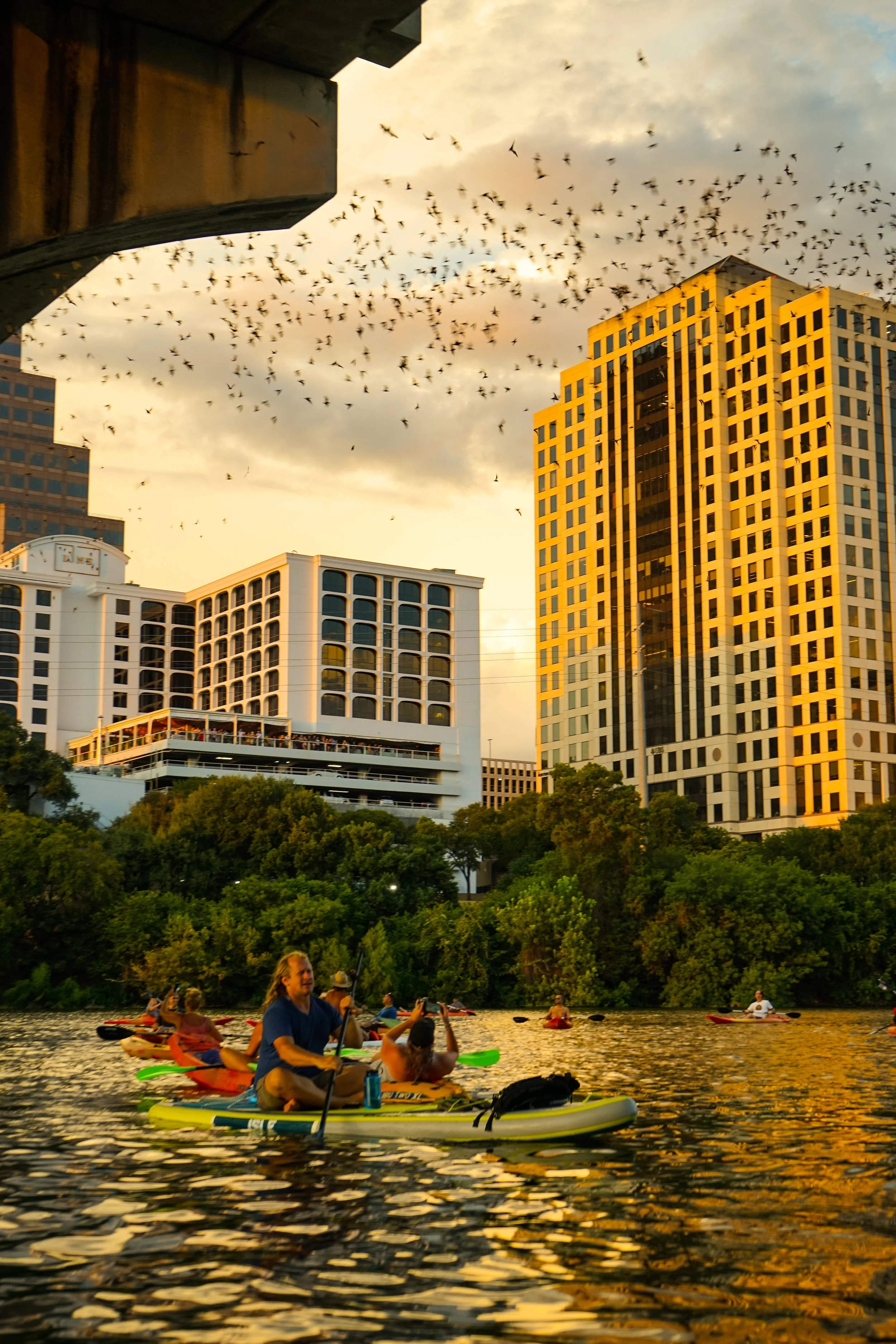 Austin Kayak Sunset Bat Tour