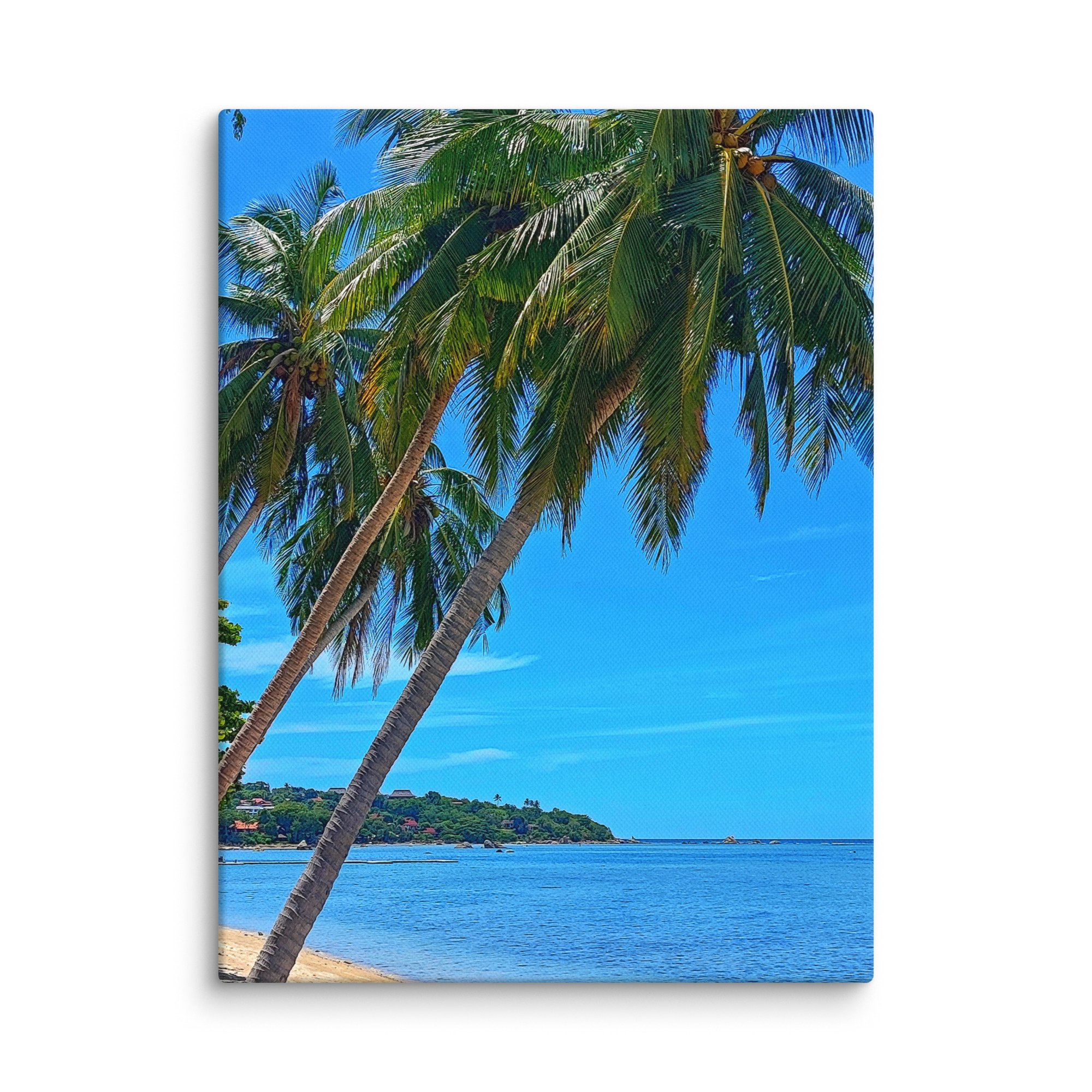 canvas-(in)-12x16-wall-6812f3d3cd8d6.jpg