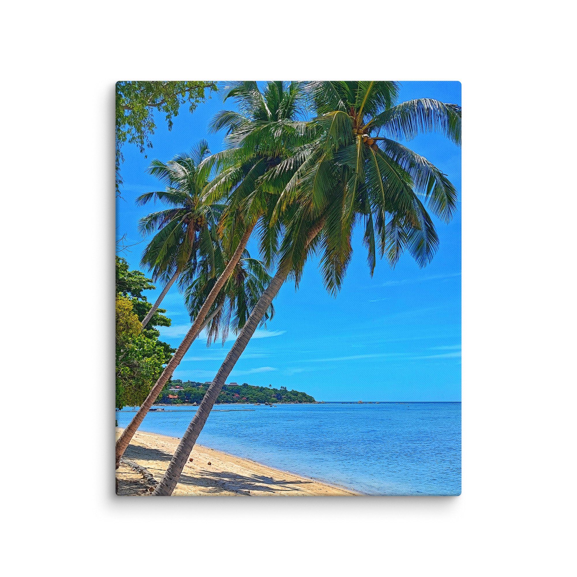 canvas-(in)-20x24-wall-6812f3d3ce090.jpg