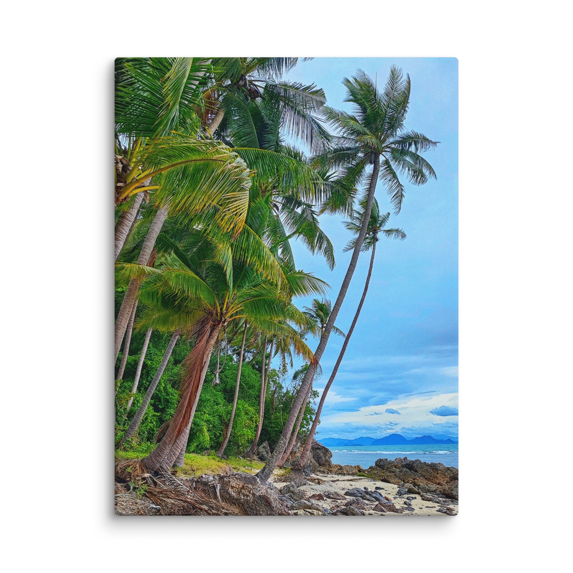 canvas-(in)-12x16-wall-6812f8a7e414b.jpg