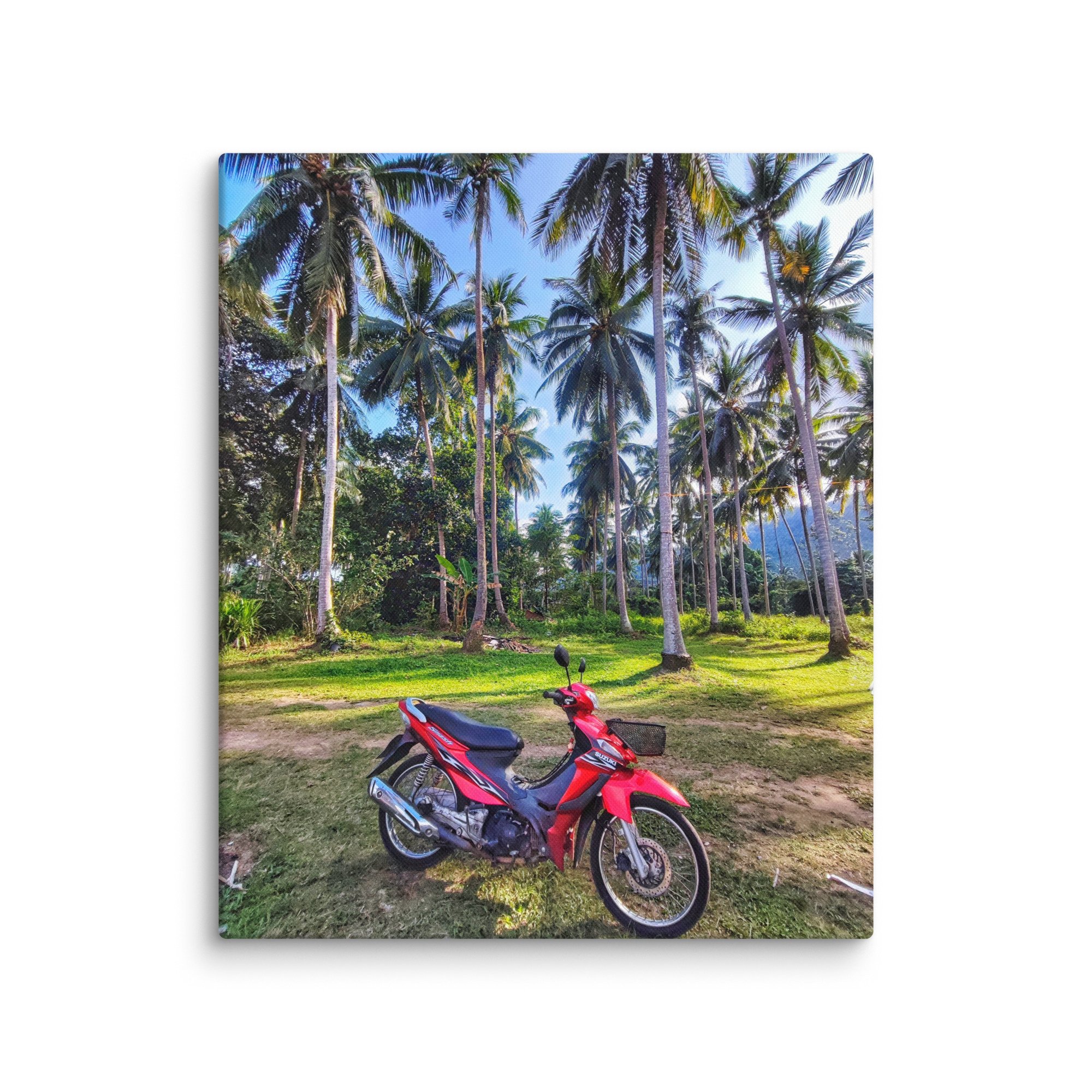 canvas-(in)-20x24-wall-68131c3685686.jpg