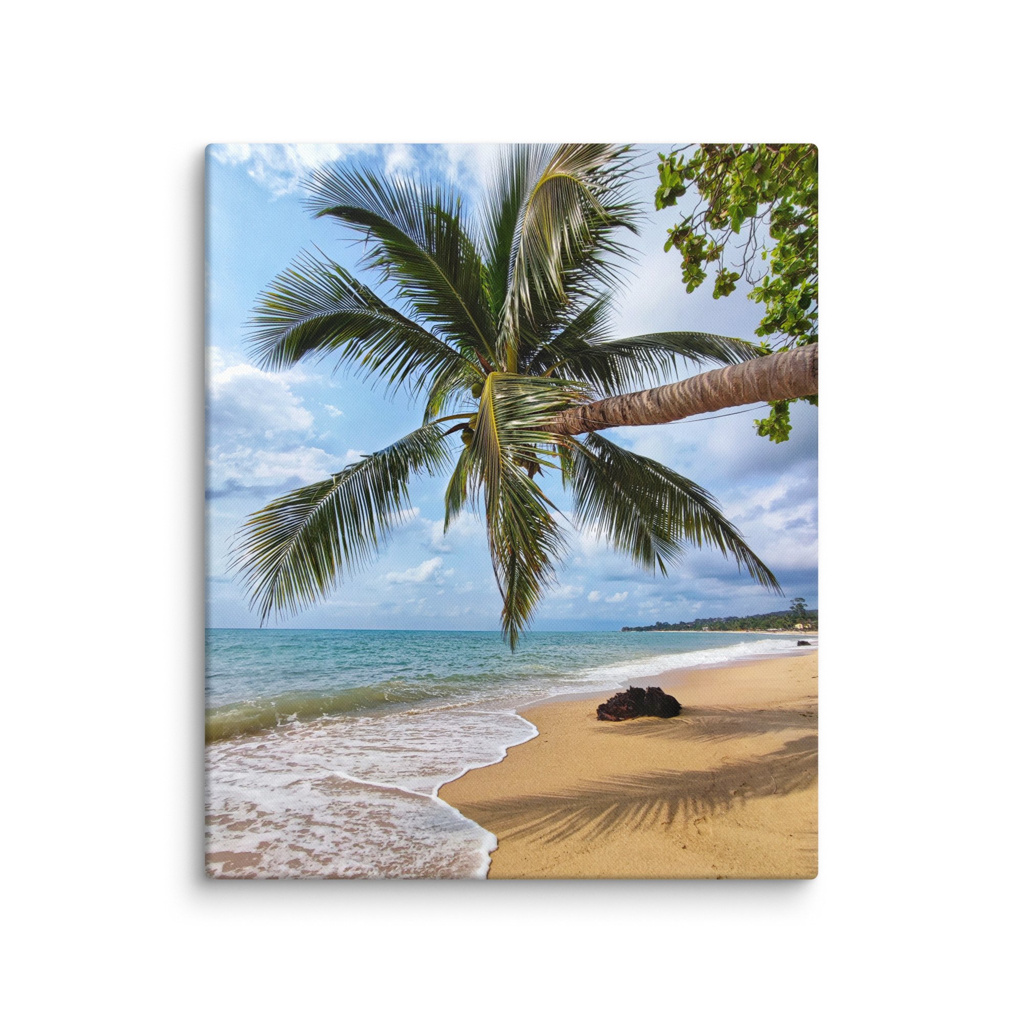 canvas-(in)-20x24-wall-68131ea3da792.jpg