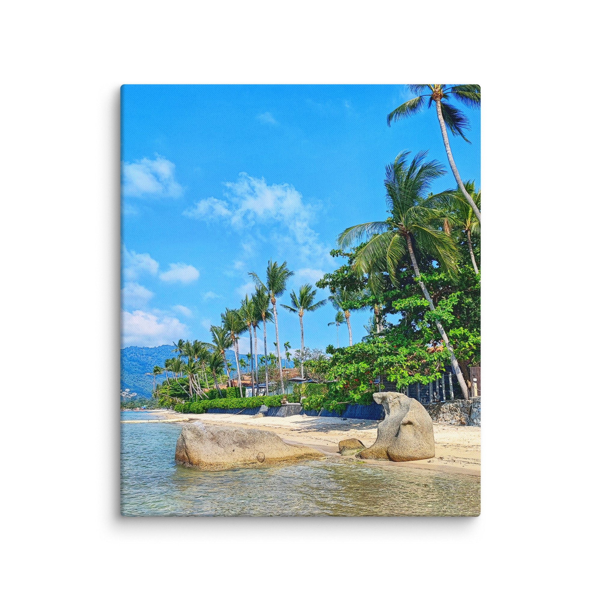 canvas-(in)-20x24-wall-681322ae46f2f.jpg