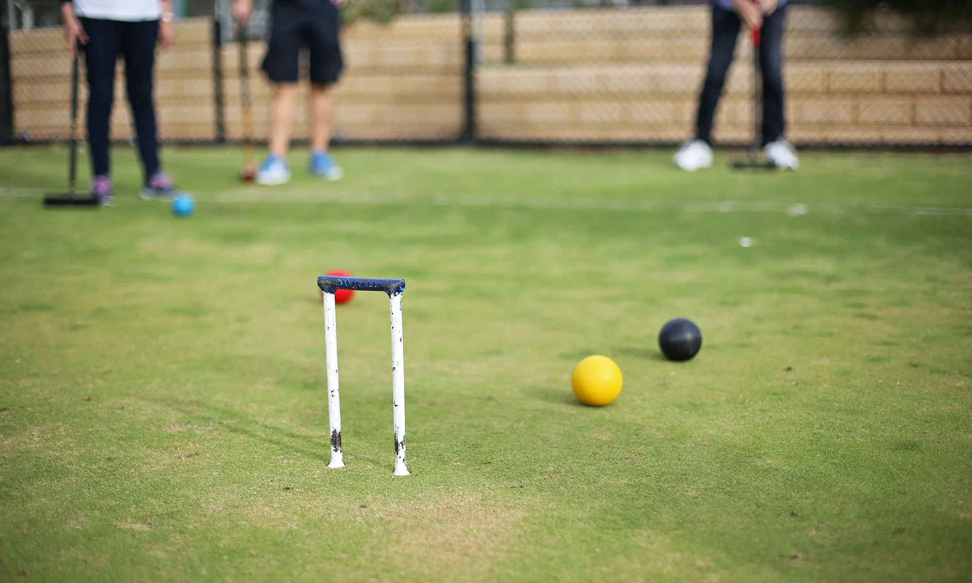 UPSC_Home_croquet.jpg