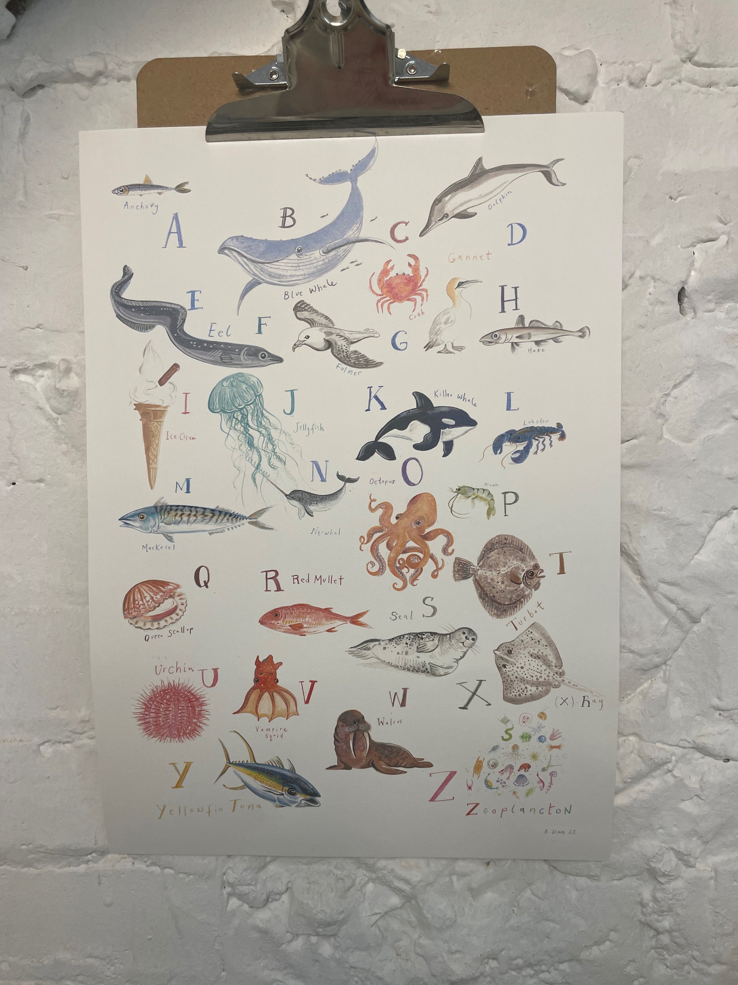 A to Z of the Sea.jpg