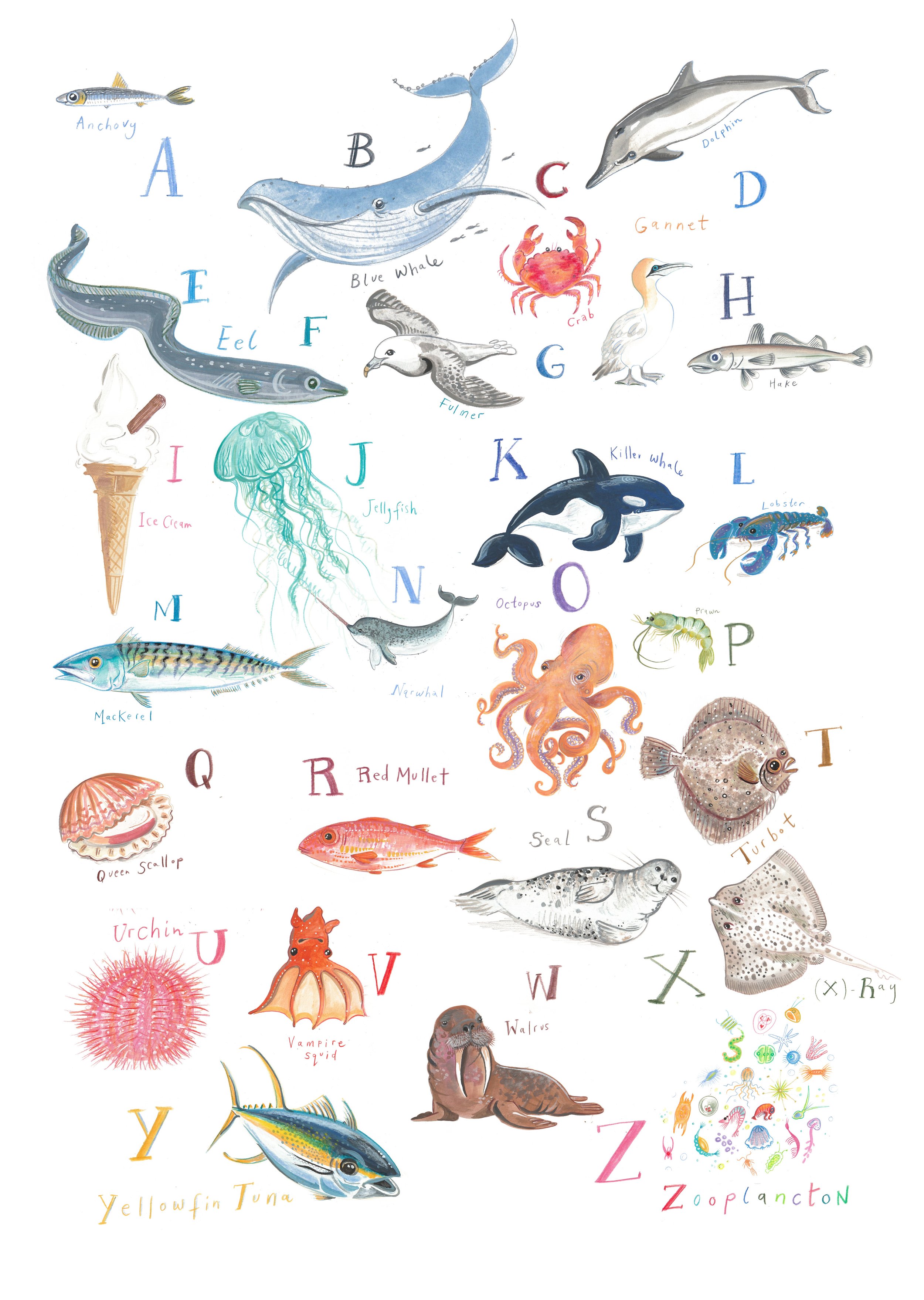 FIshy ABC copy 2.jpg