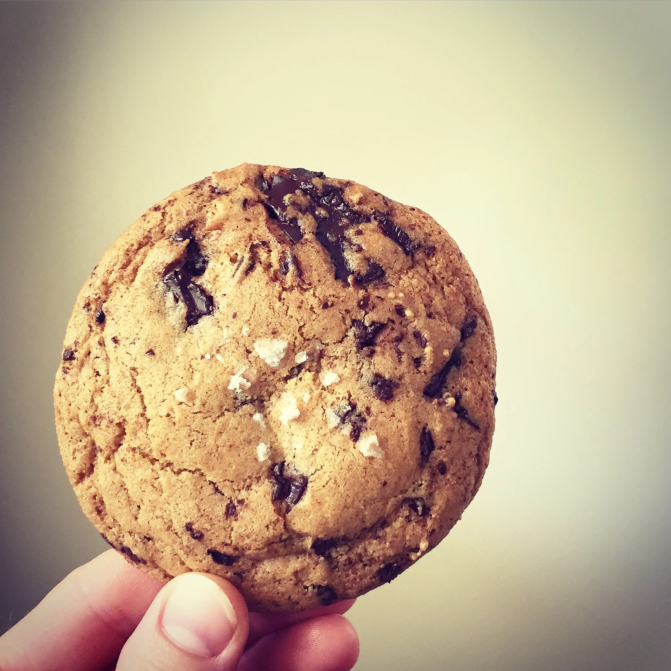 Chocolate chip cookie with fleur de sel