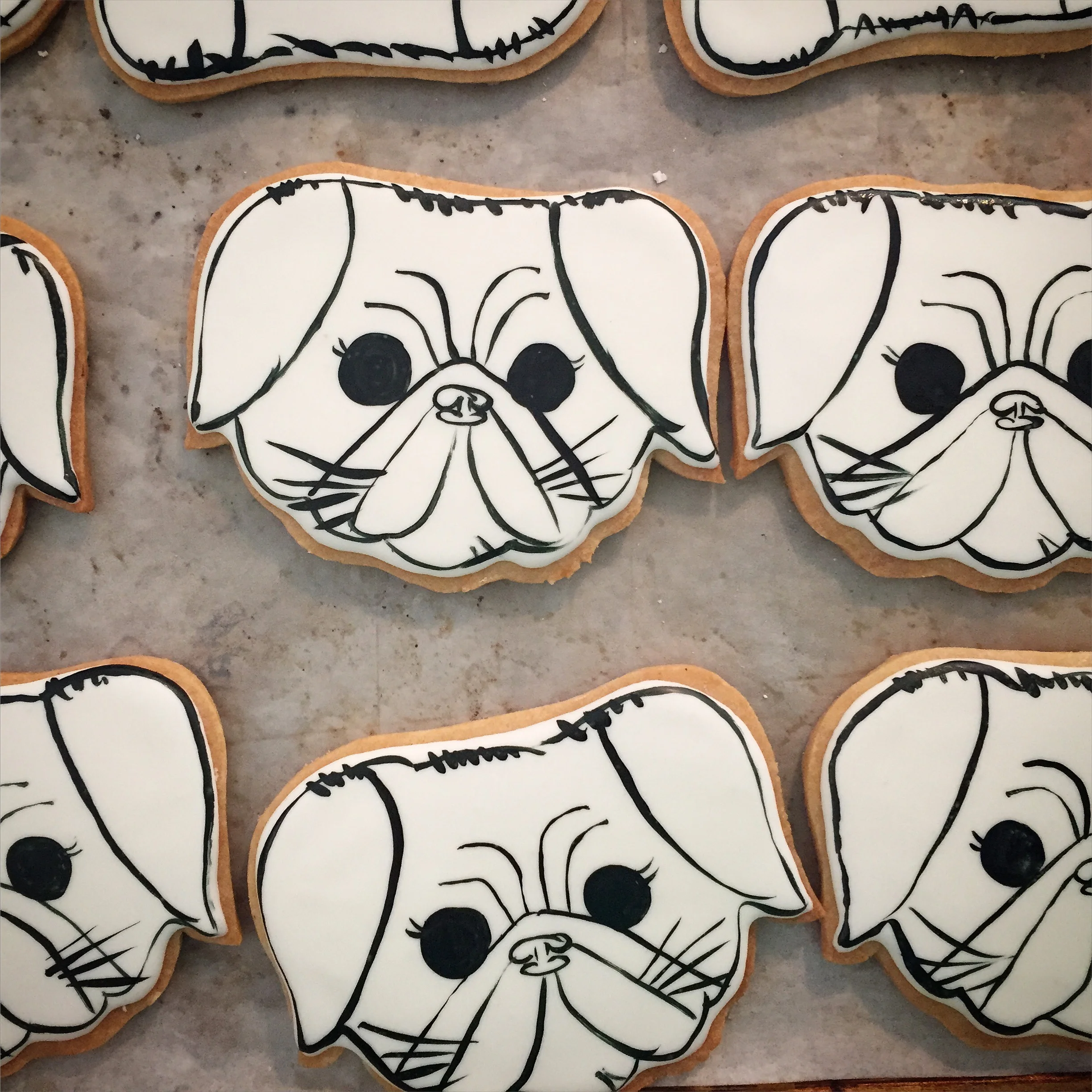 Pug cookies