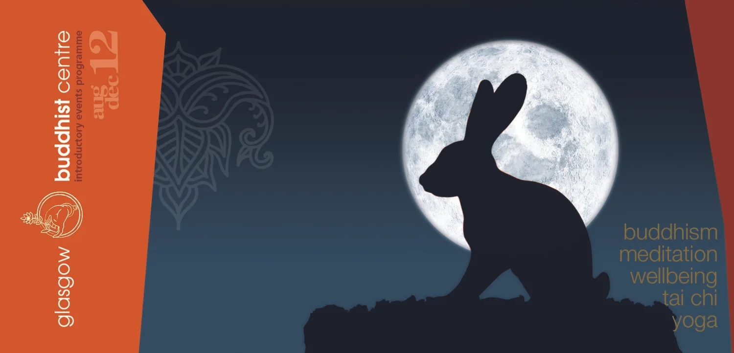 front1rabbit.jpg