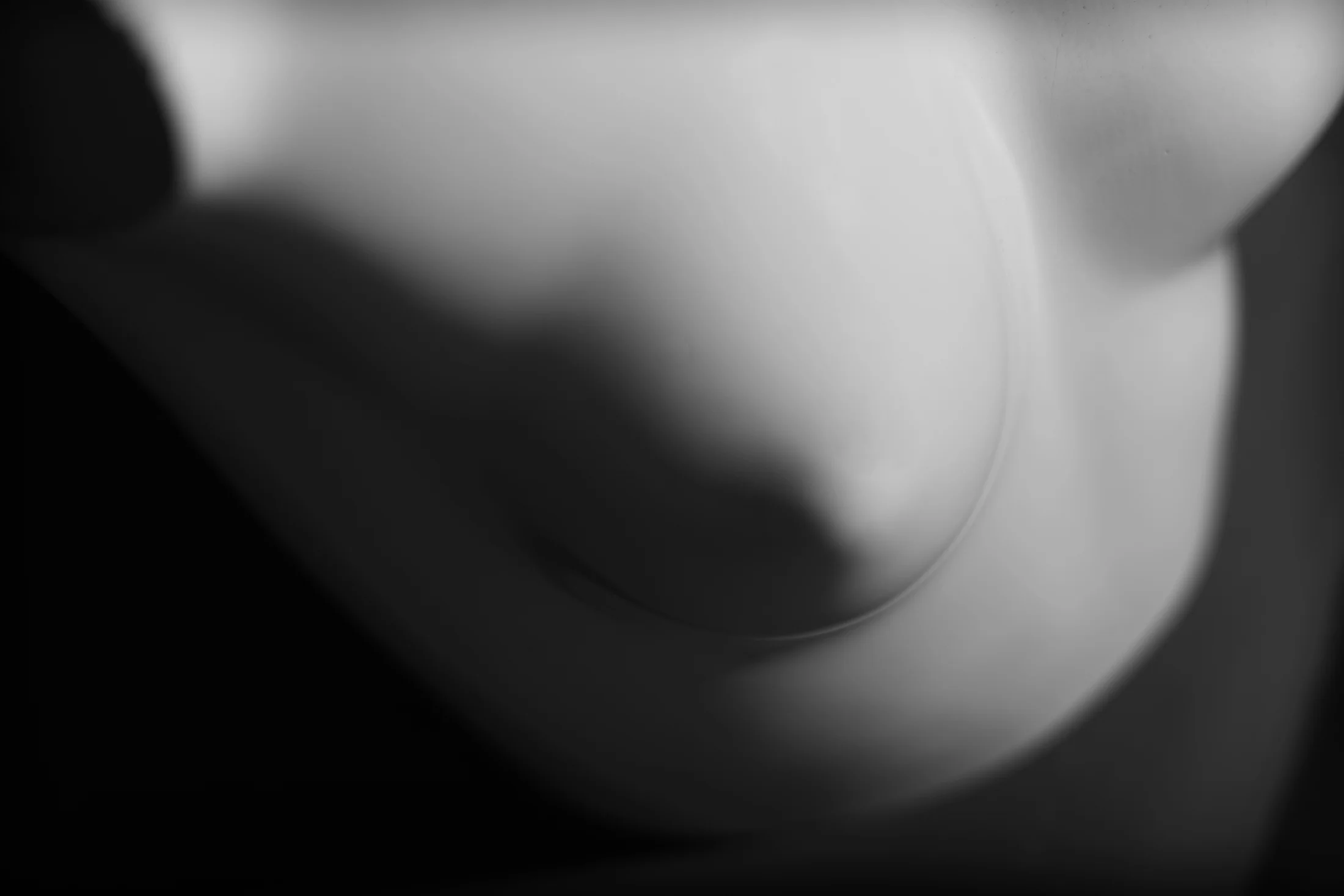 _RGP8167.jpg