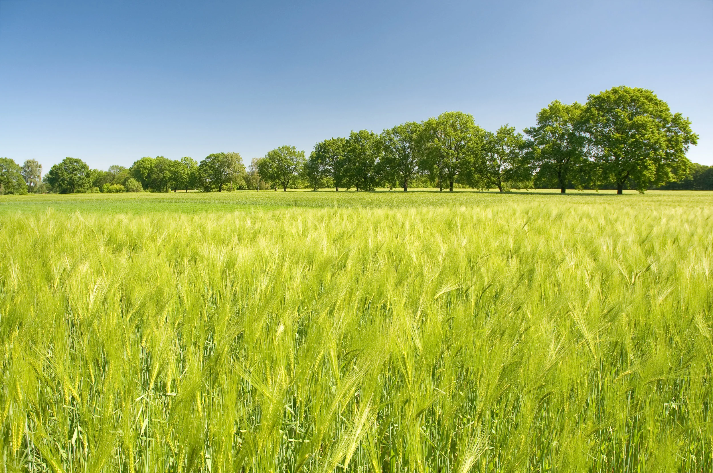 Invitation au Charity Event au Réiser Päerdsdeeg 