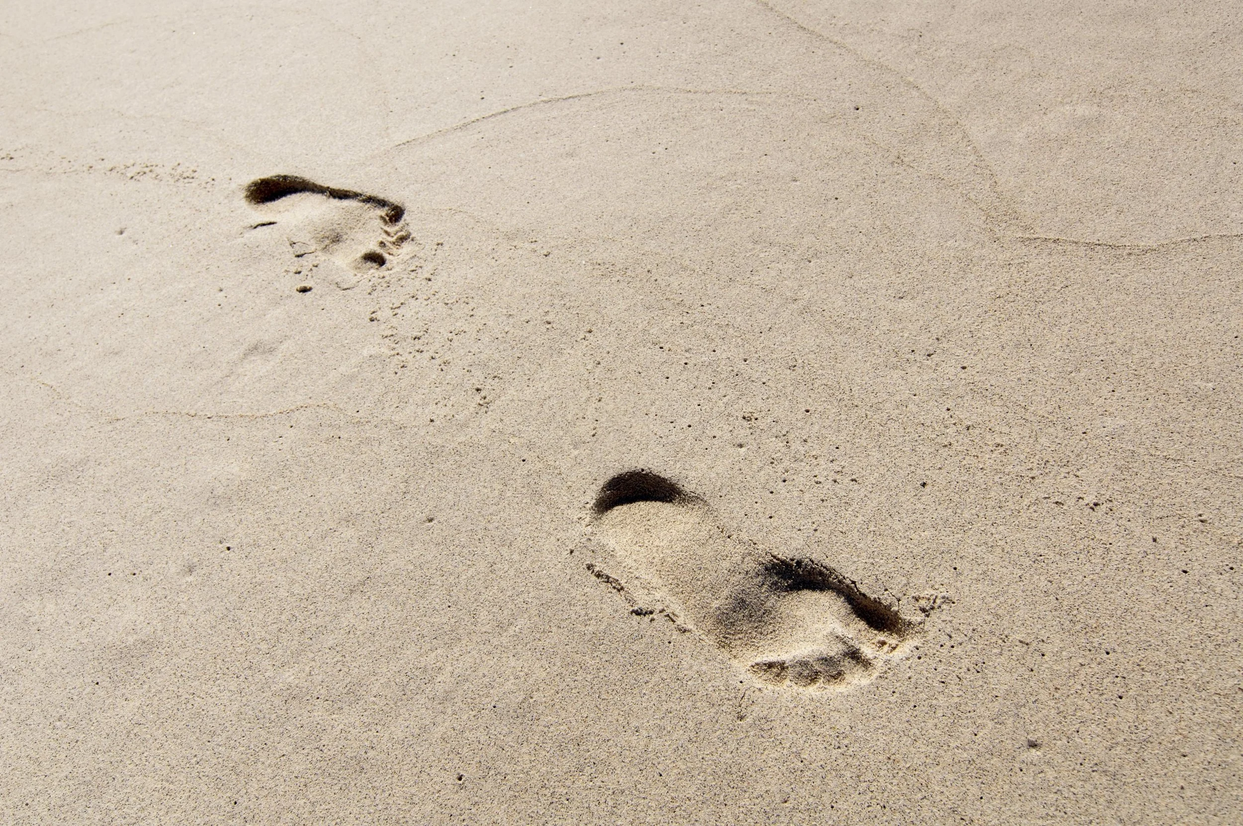 ''Escapade d'été'' 