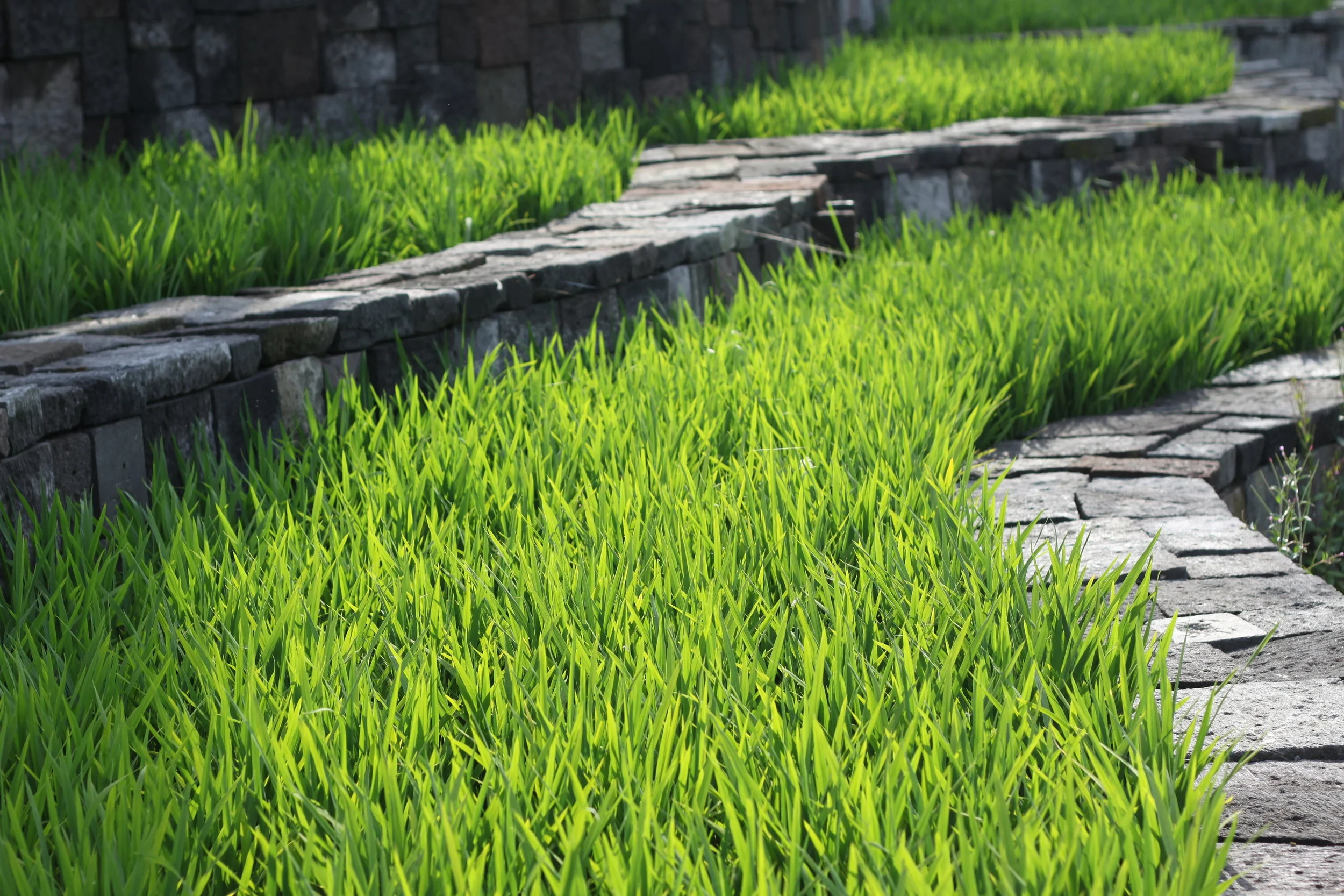 Mes décisions, mes choix, ma vie.....