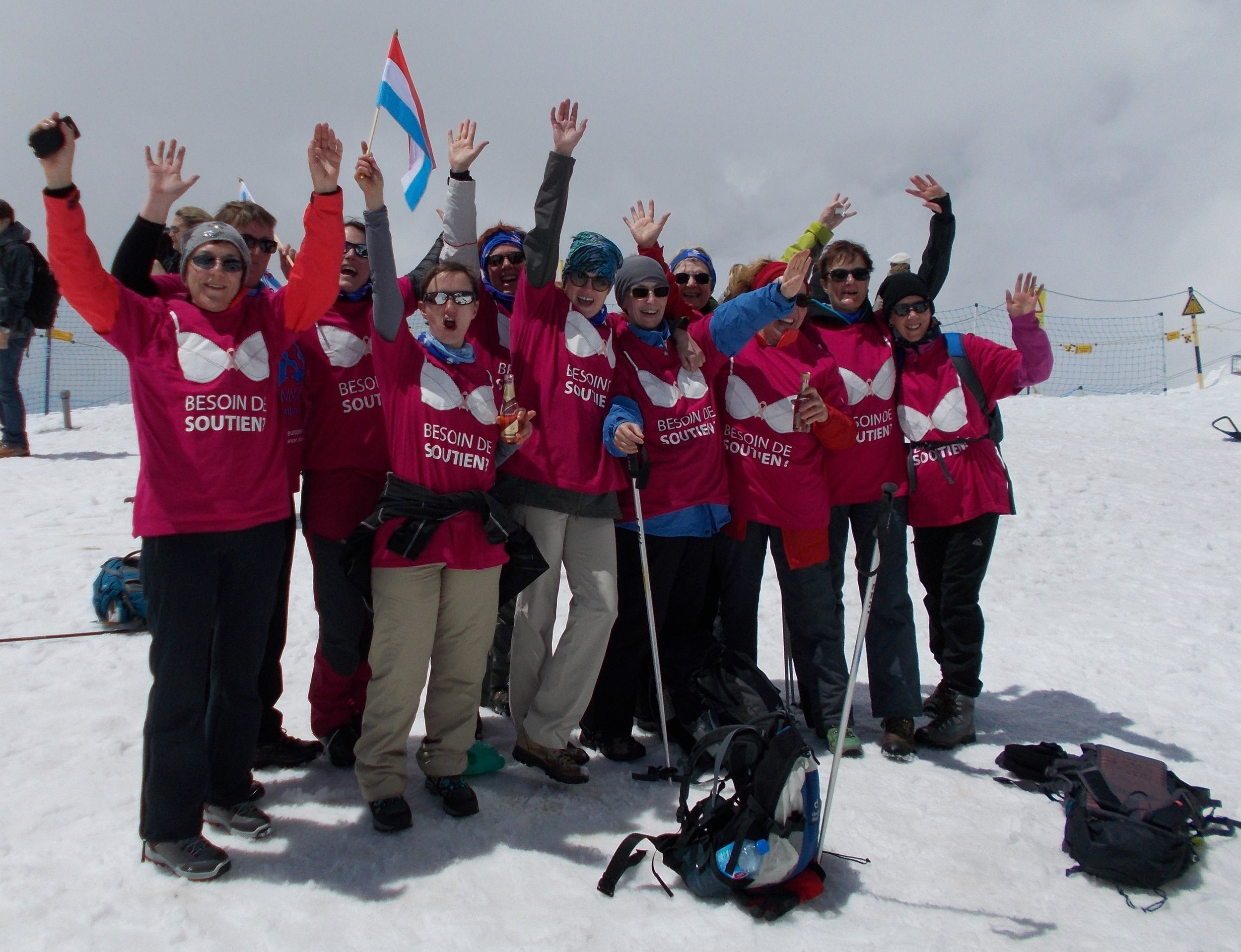 2016-06 EDL - Rope of Solidarity Breithorn reduced size fir OctobreRose CHL_15.JPG