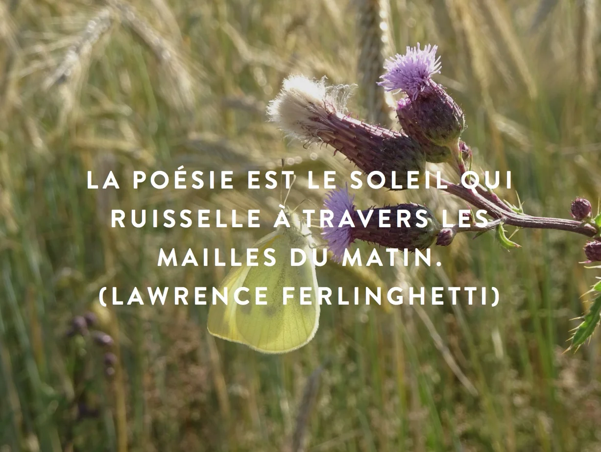  Message à regarder, lire et méditer