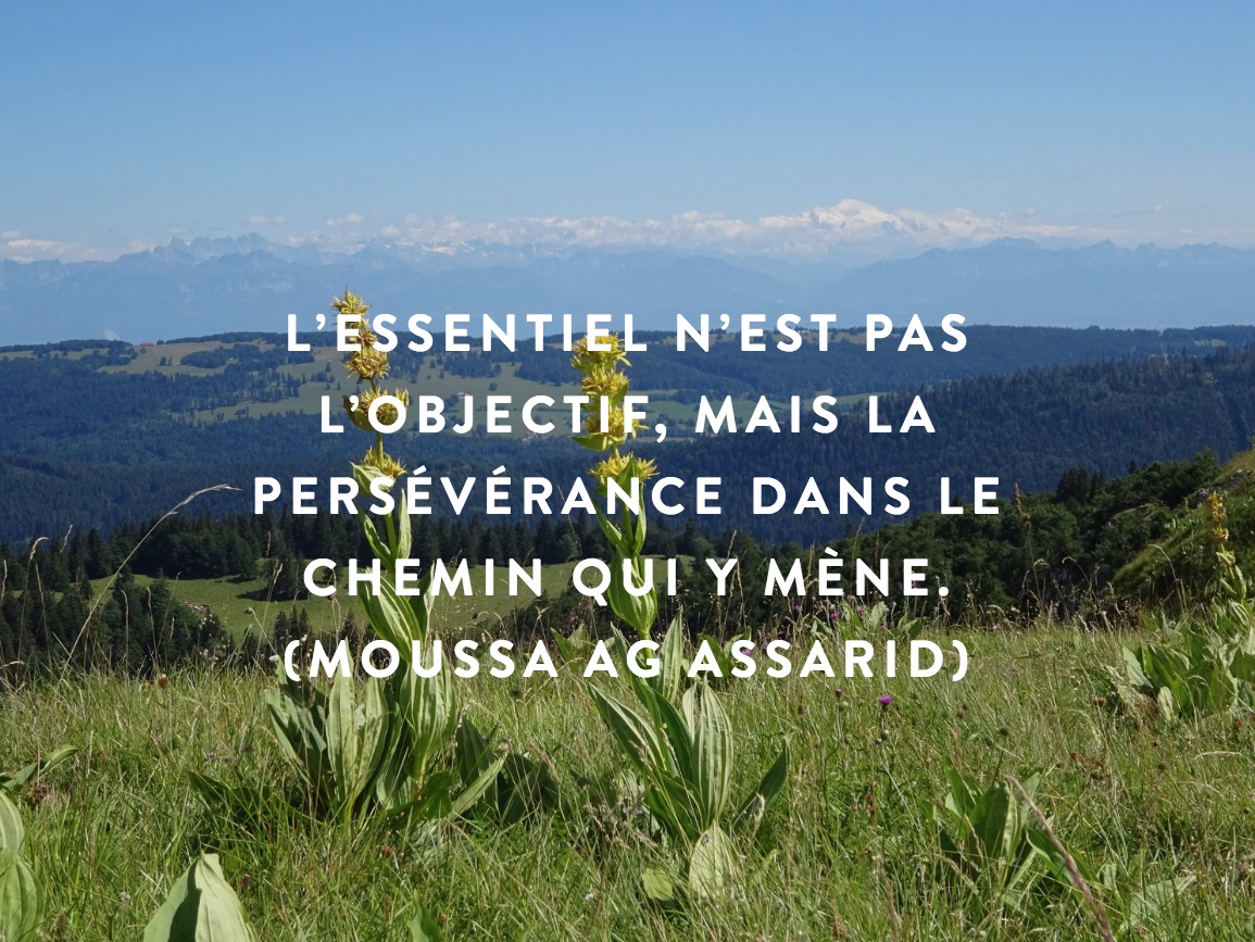 Message à regarder, lire et méditer