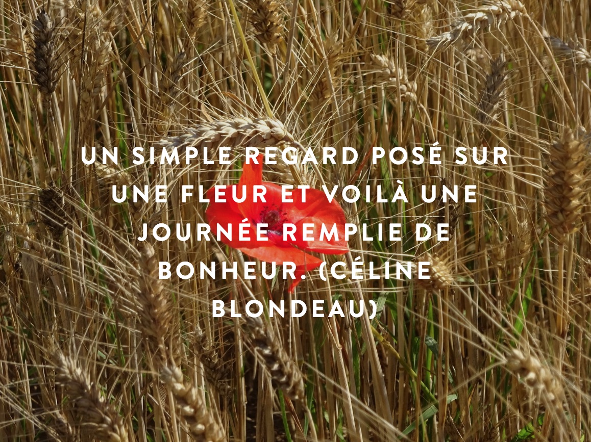 Message à regarder, lire et méditer