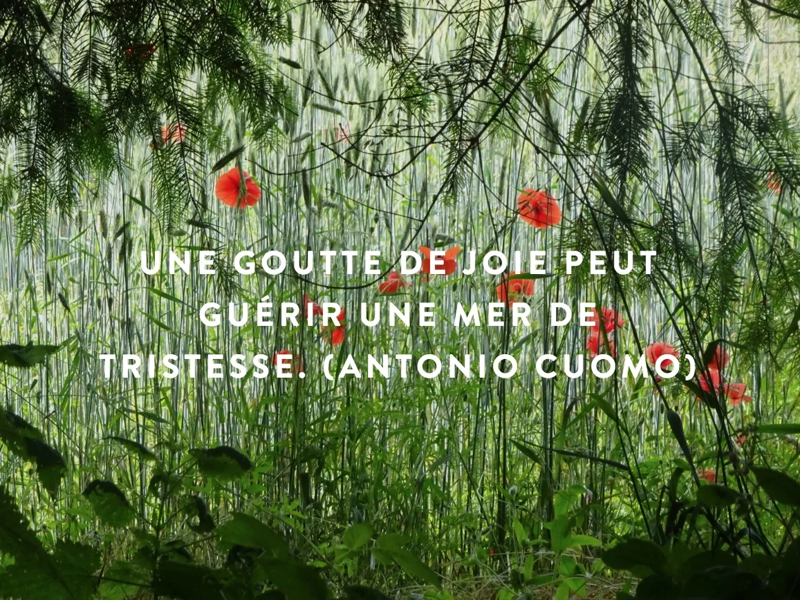 Message à regarder, lire et méditer