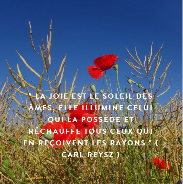 Message à regarder, lire et méditer