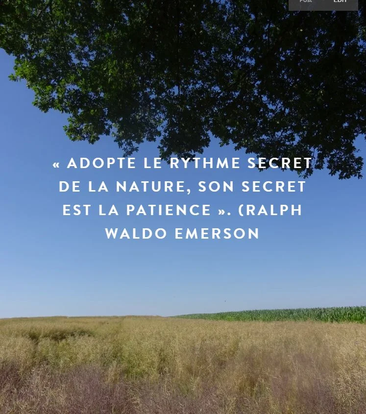  Message à regarder, lire et méditer