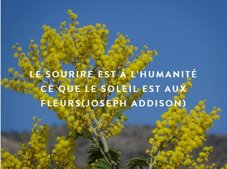 Message à regarder , lire et méditer