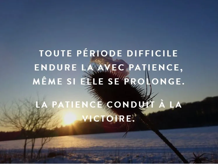 Message à regarder, lire et méditer