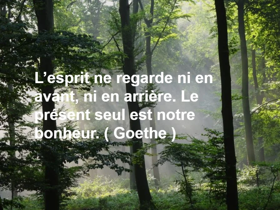 Message à regarder, lire et méditer