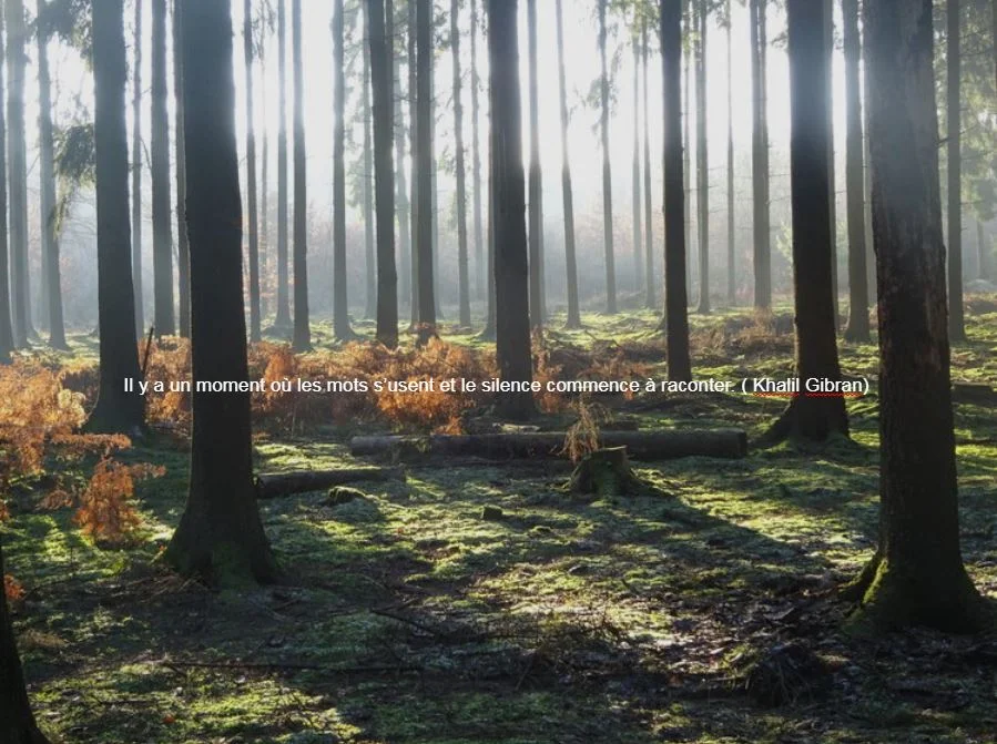 Message à regarder, lire et méditer